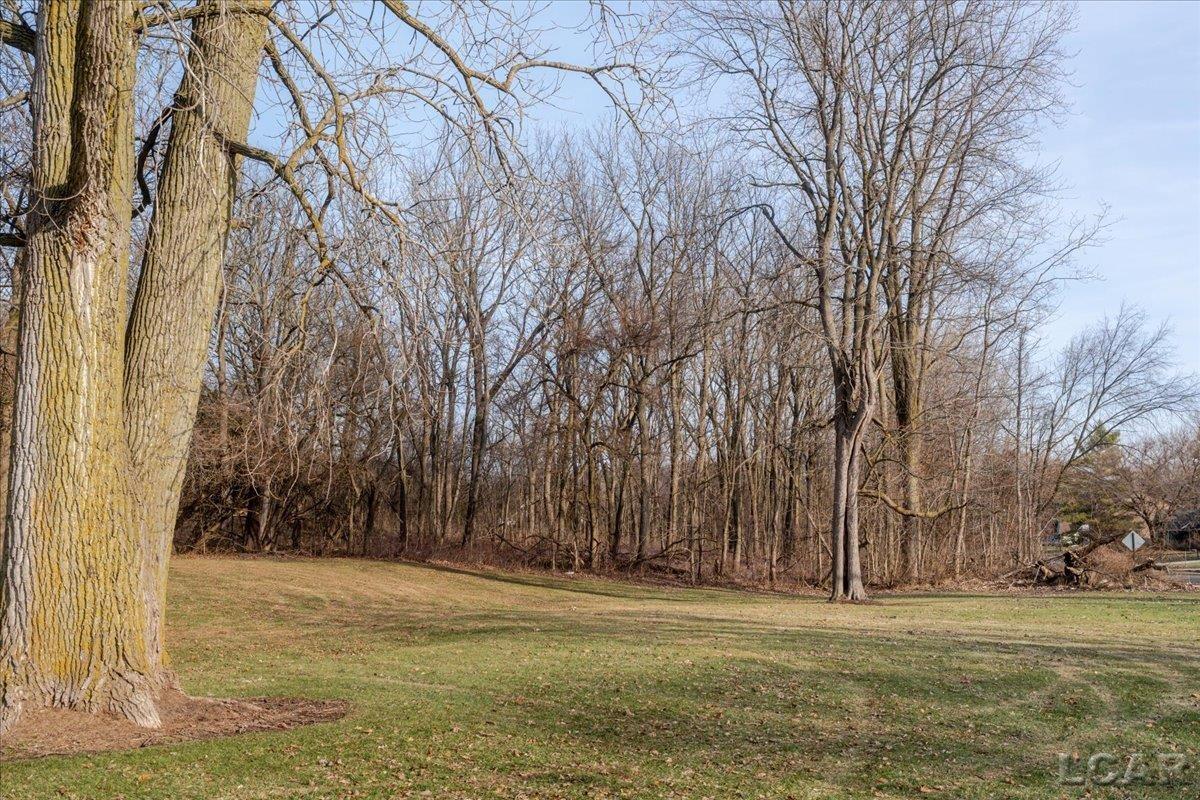 0 Round Lake Highway Property Photo 6