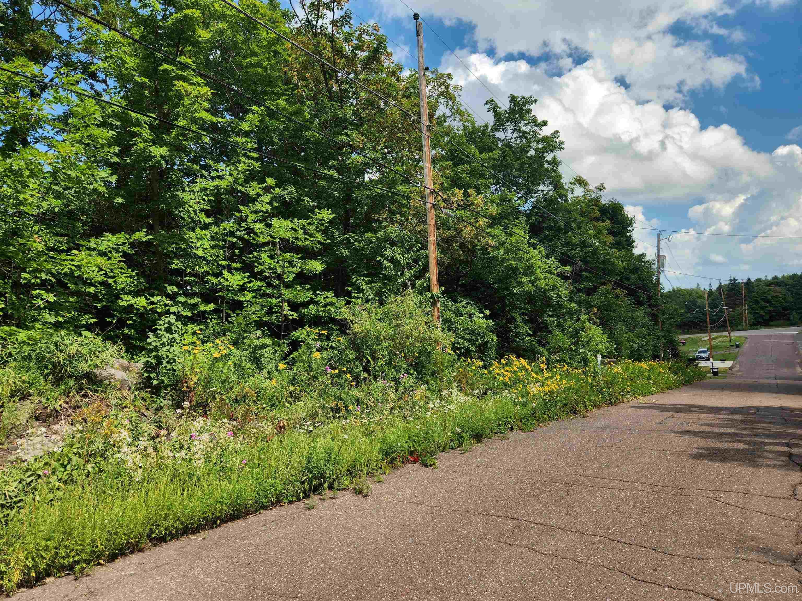 Tbd 17 Calverley Avenue Property Photo 1