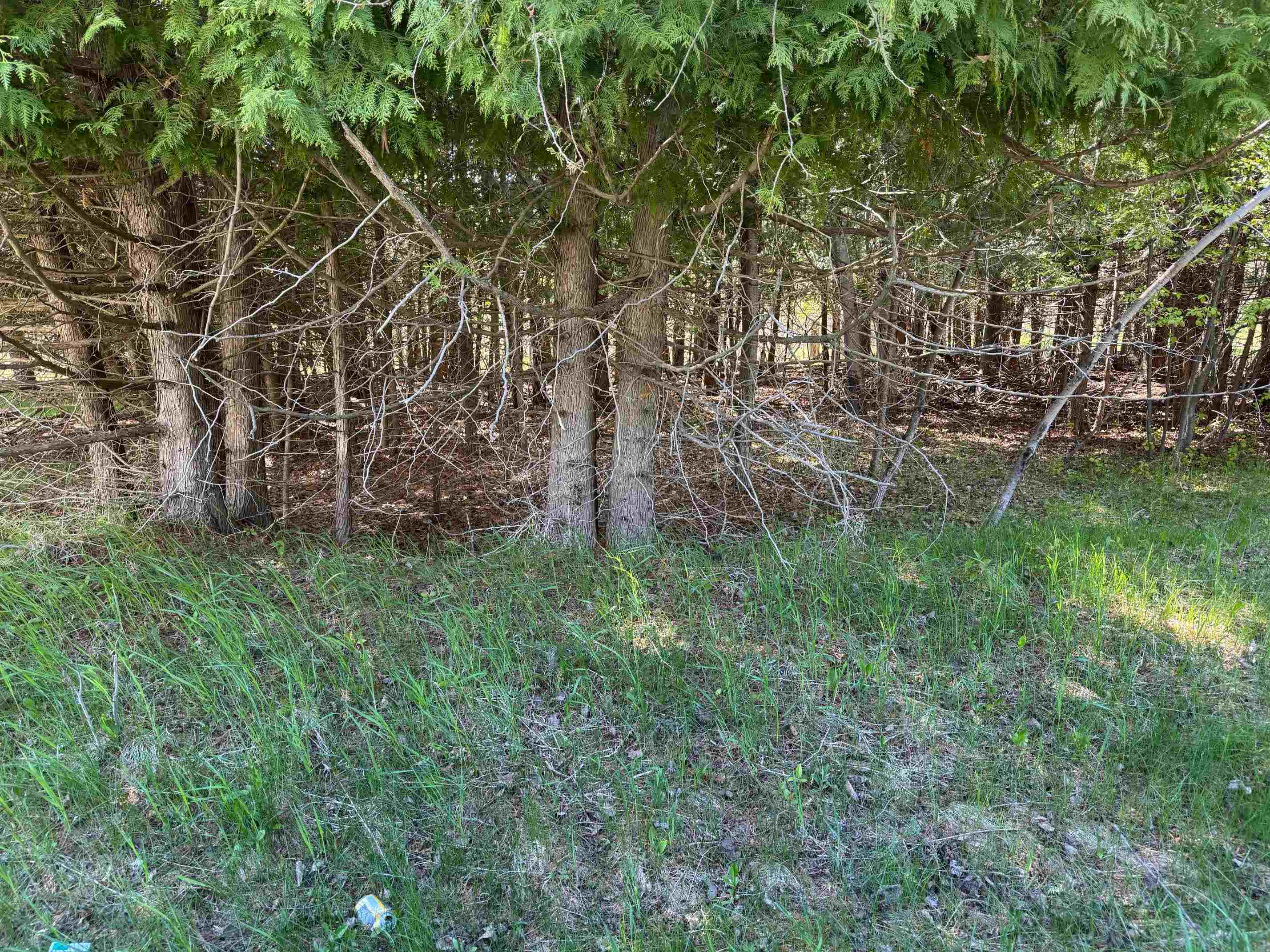 Lot 230 Kings Way Property Photo 1