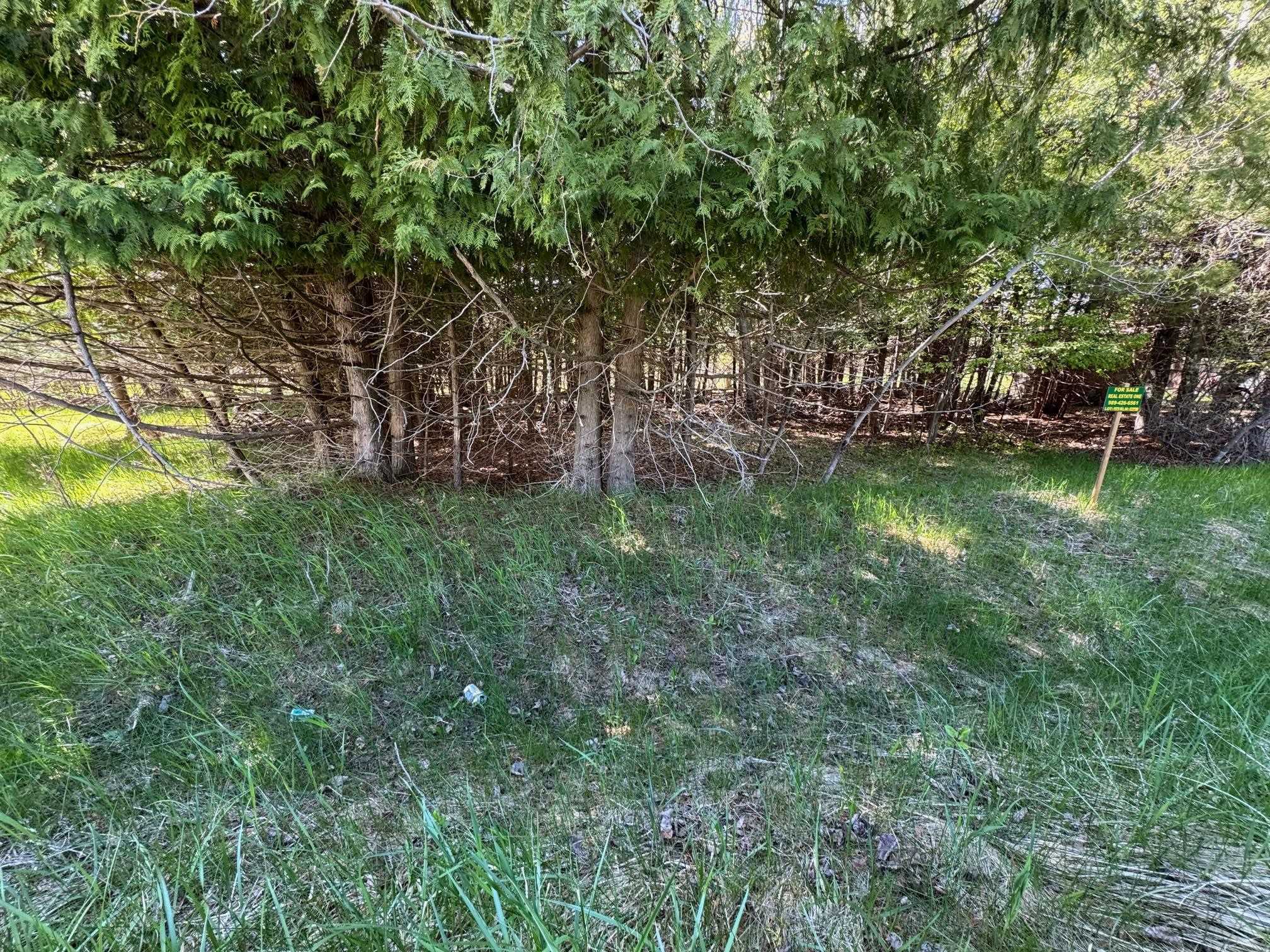 Lot 230 Kings Way Property Photo 2