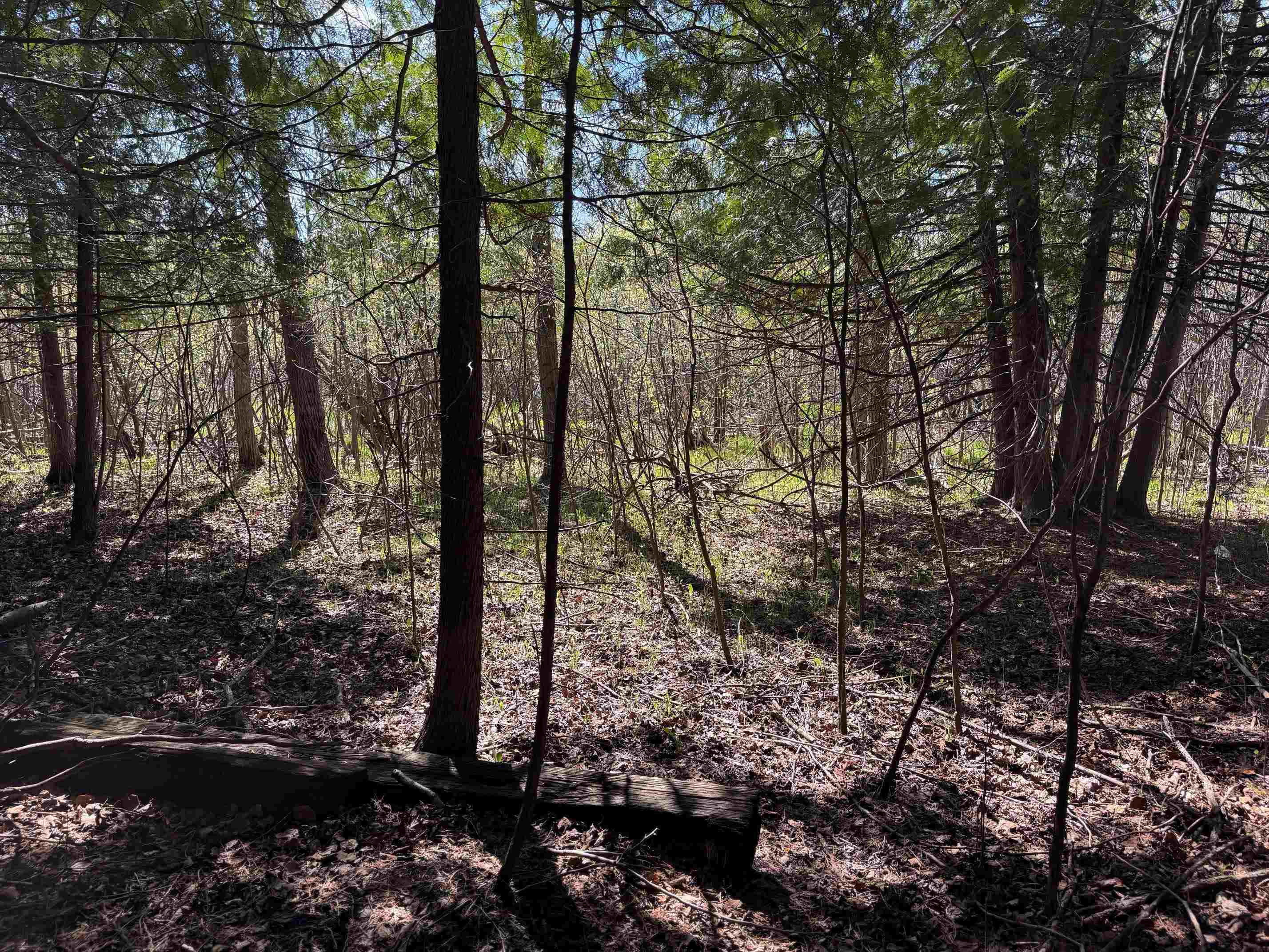 Lot 230 Kings Way Property Photo 3