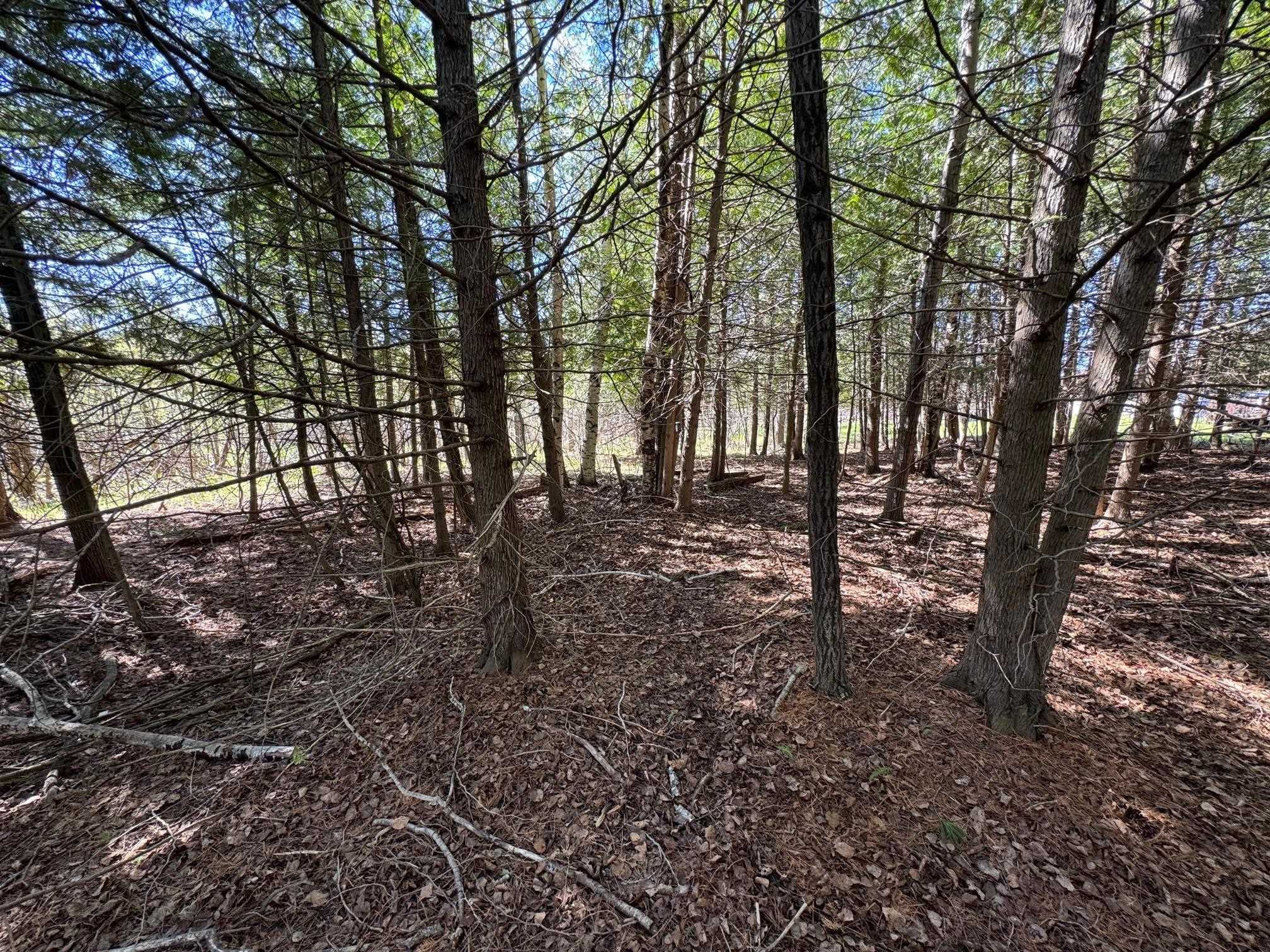 Lot 230 Kings Way Property Photo 4