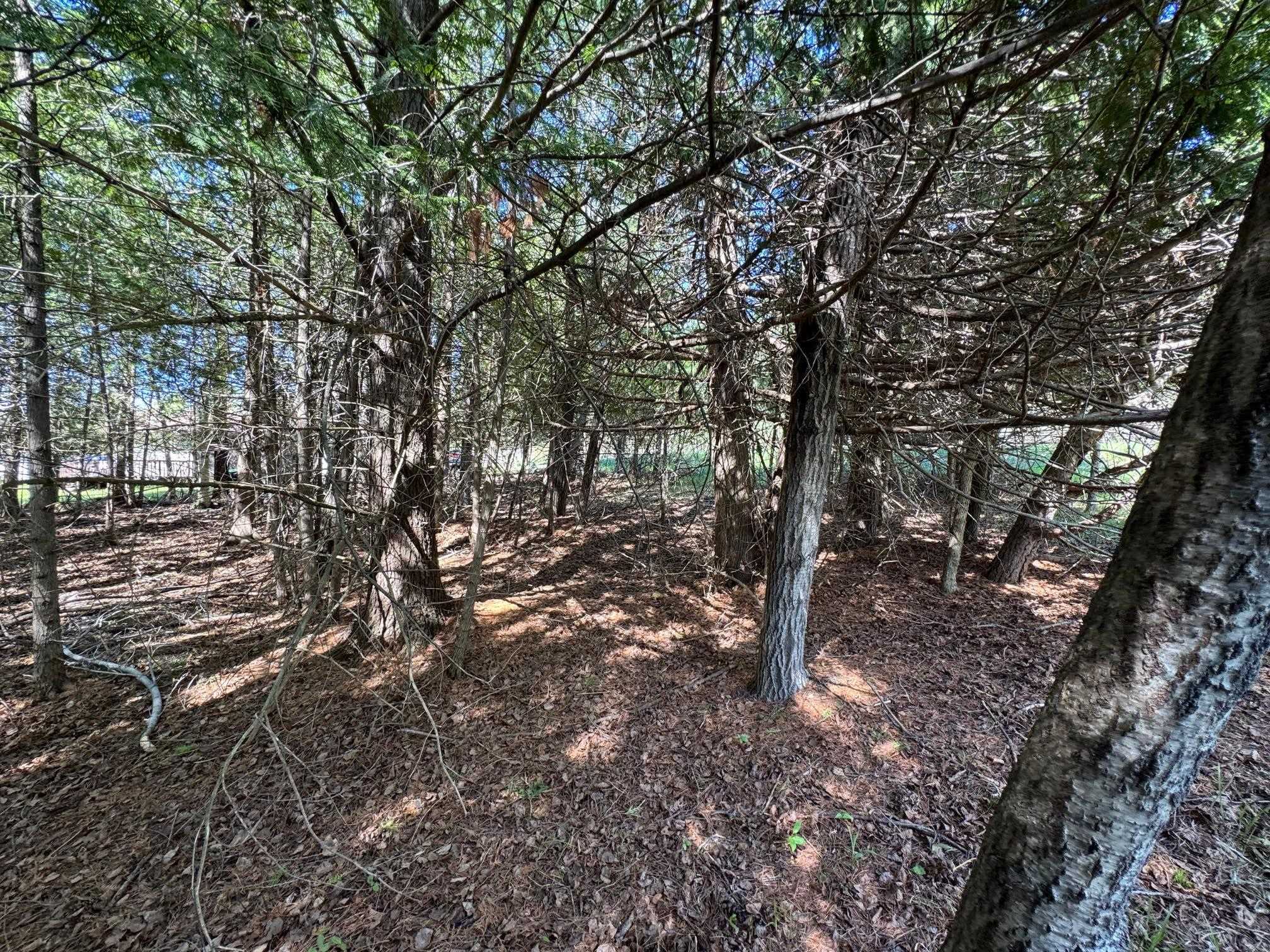 Lot 230 Kings Way Property Photo 5