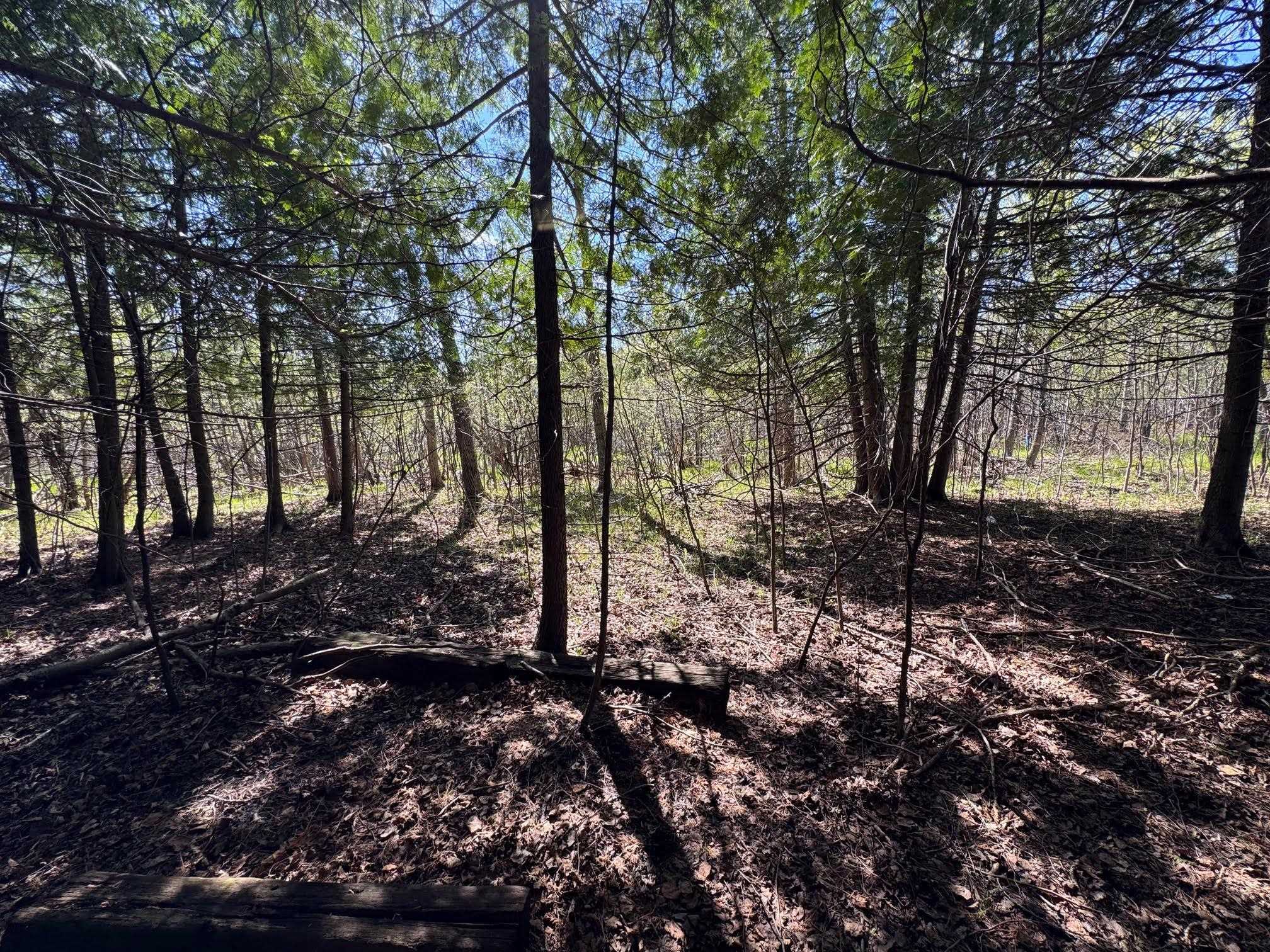 Lot 230 Kings Way Property Photo 6
