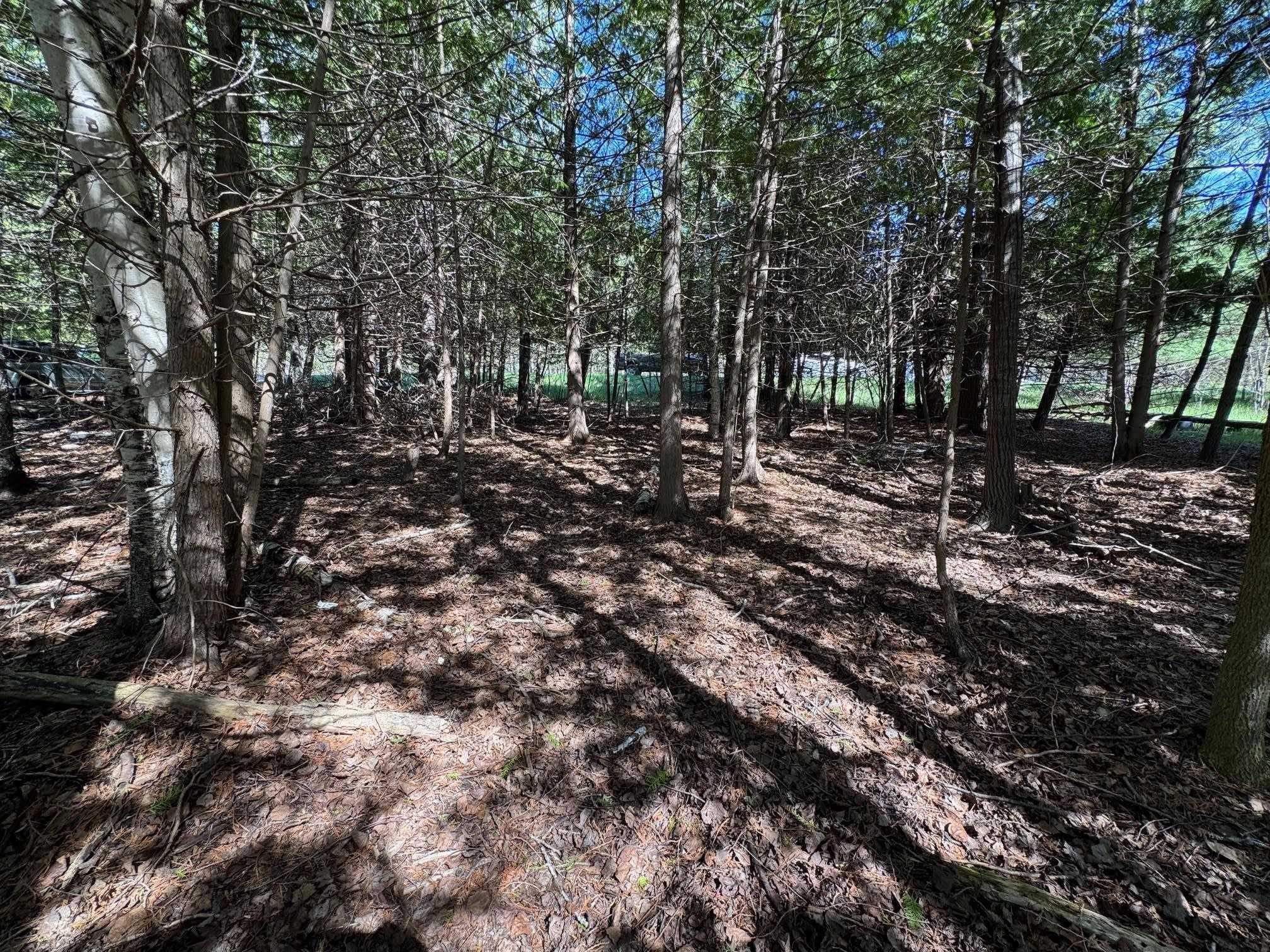 Lot 230 Kings Way Property Photo 7