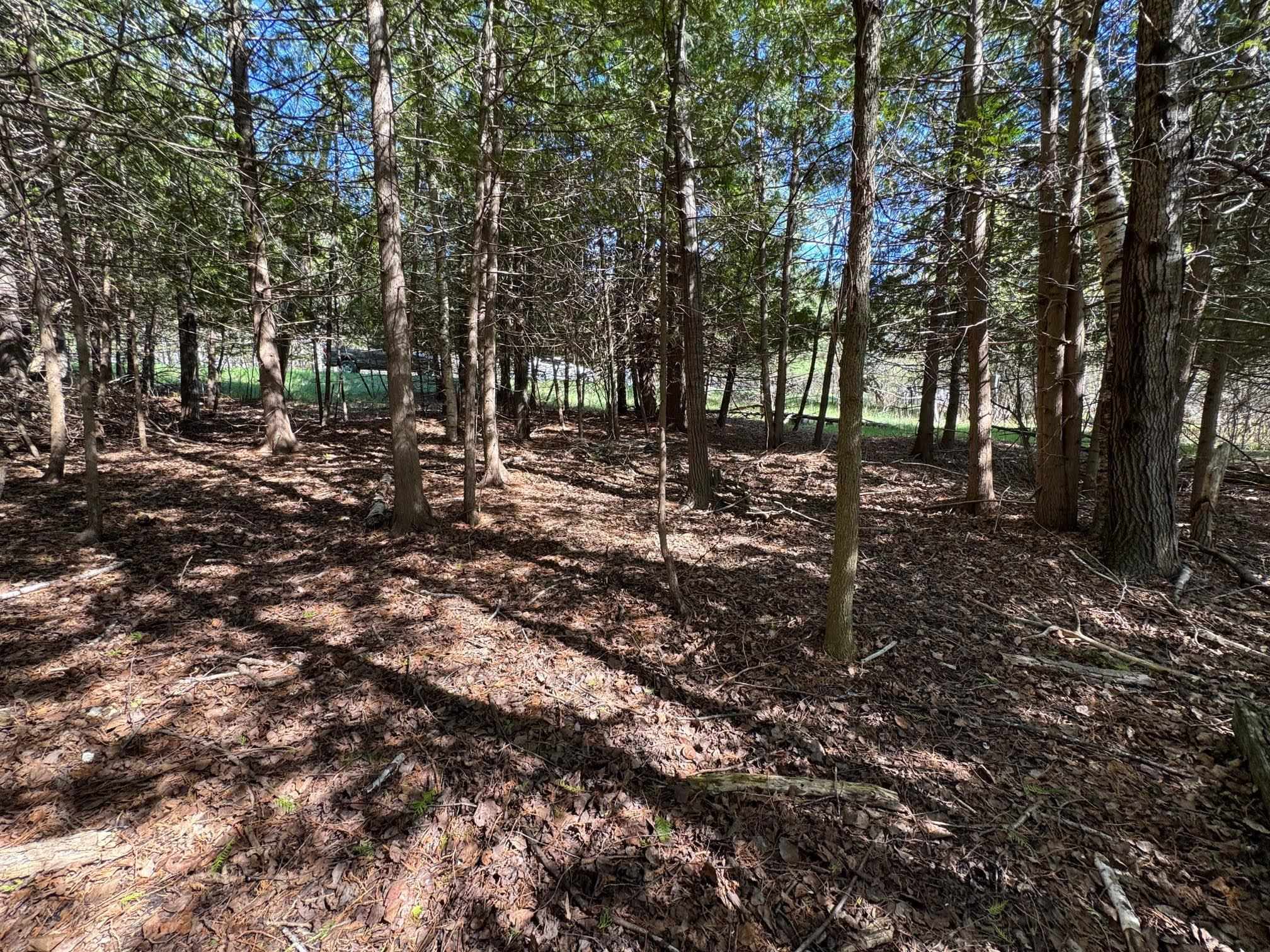 Lot 230 Kings Way Property Photo 8