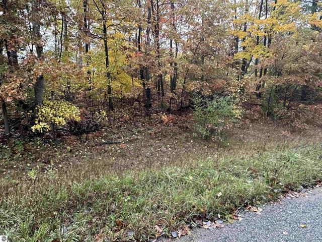 Lot #6 N Circle E Drive Property Photo 4