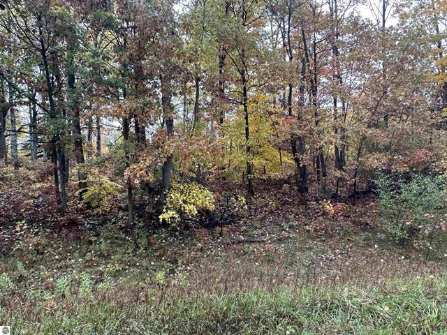 Lot #6 N Circle E Drive Property Photo 5