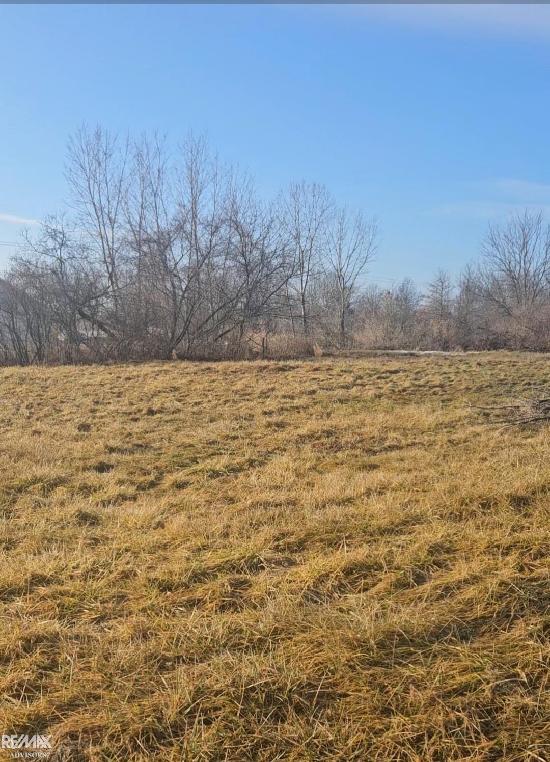 5082 Palms Road Property Photo 4