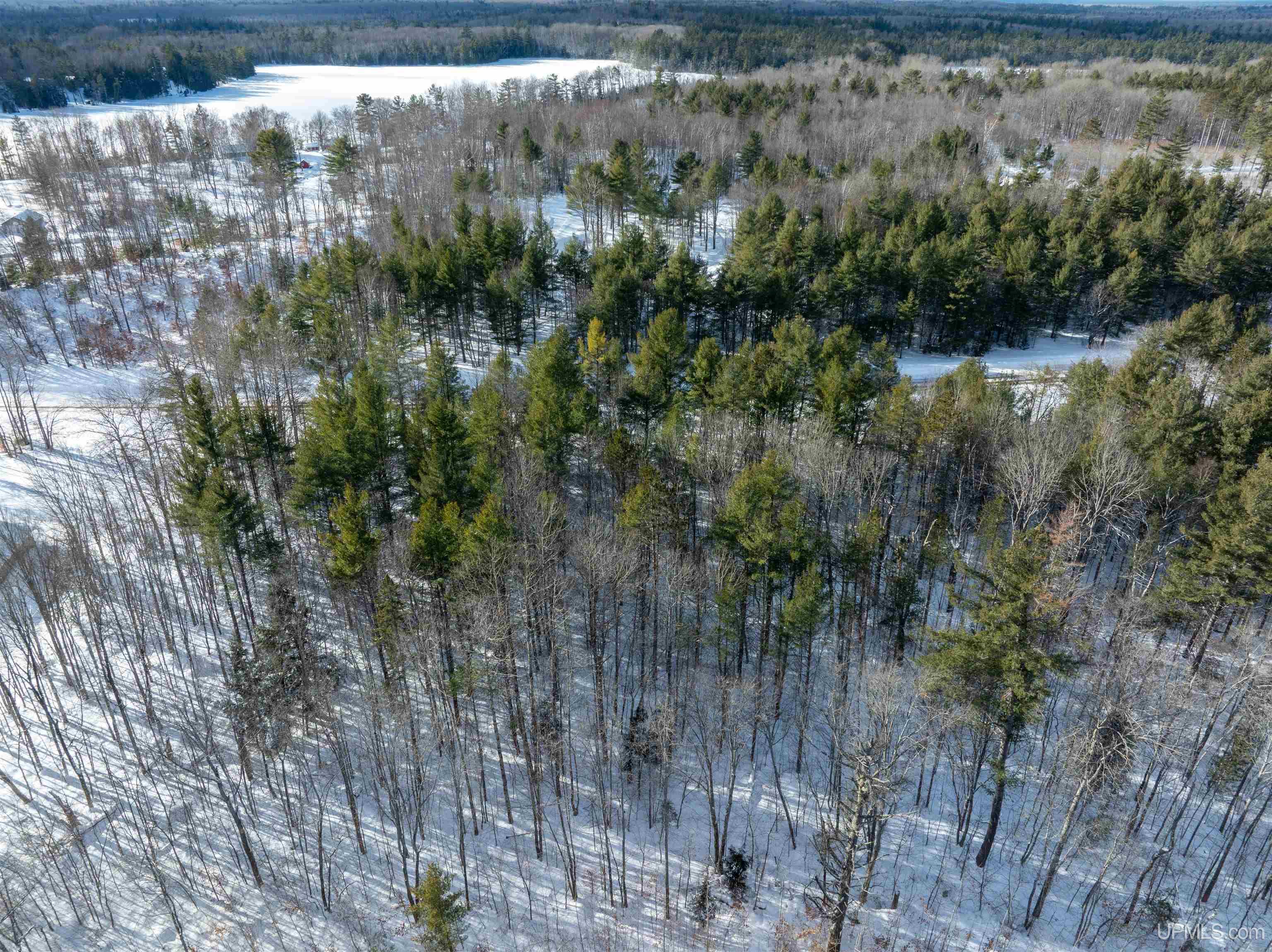 8668 M-94 Road Property Photo 2
