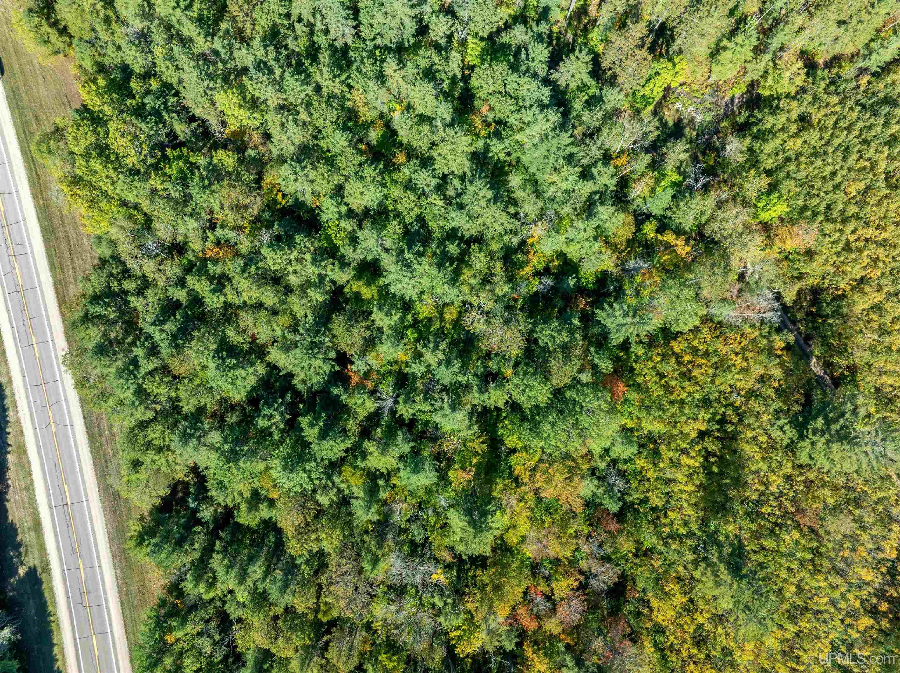 8668 M-94 Road Property Photo 11