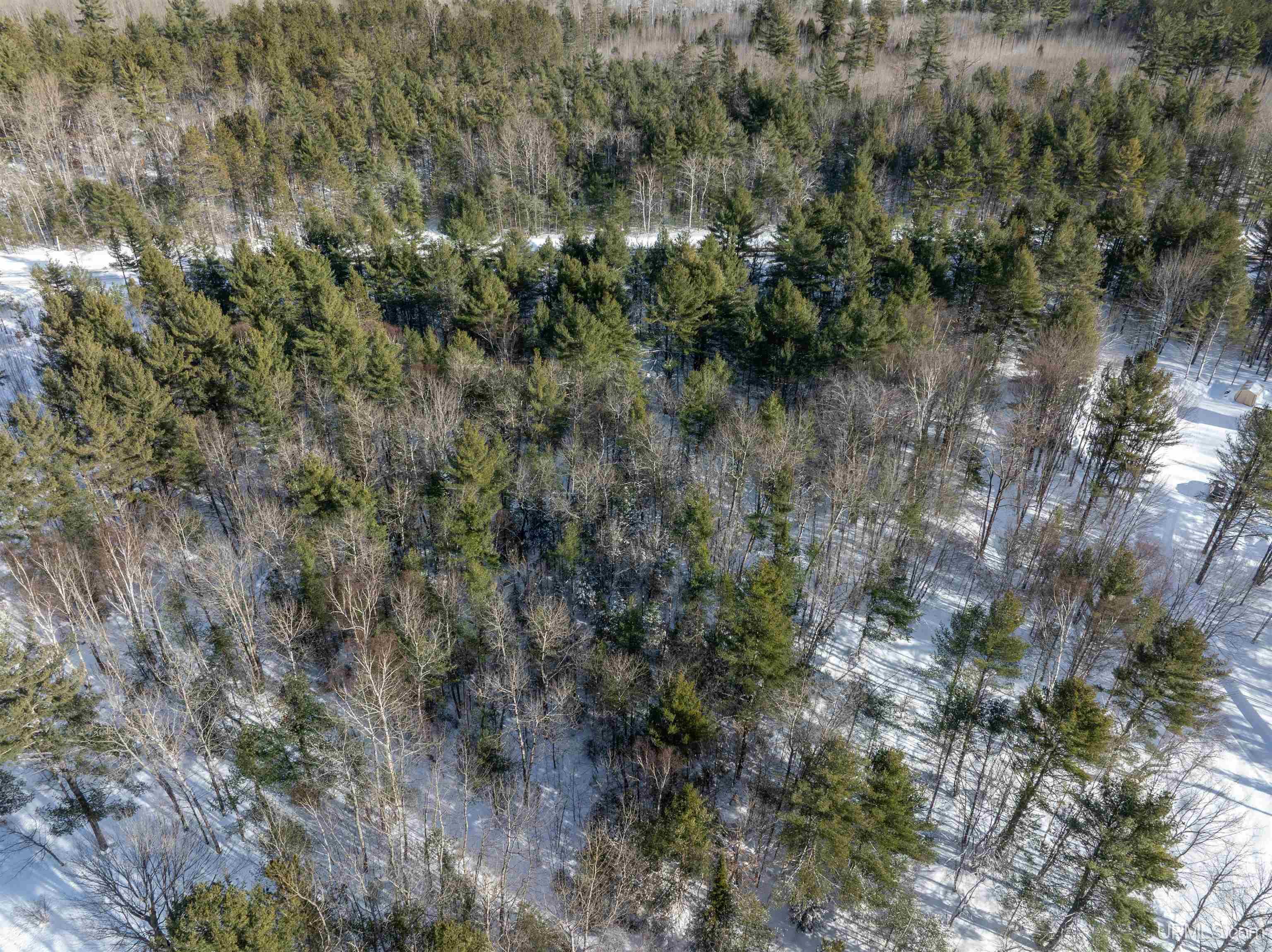 8669 M-94 Road Property Photo 3