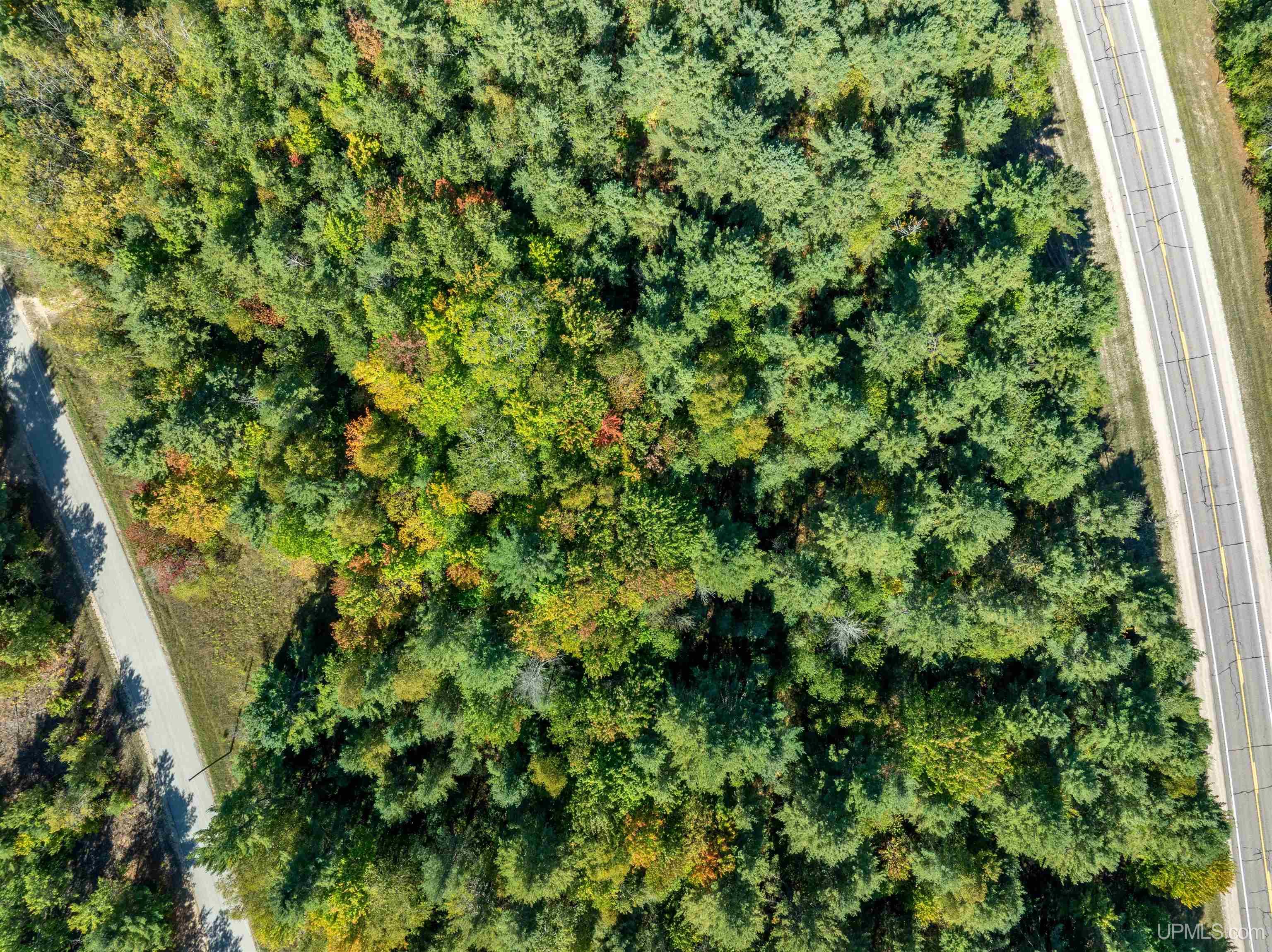 8671 M-94 Road Property Photo 23