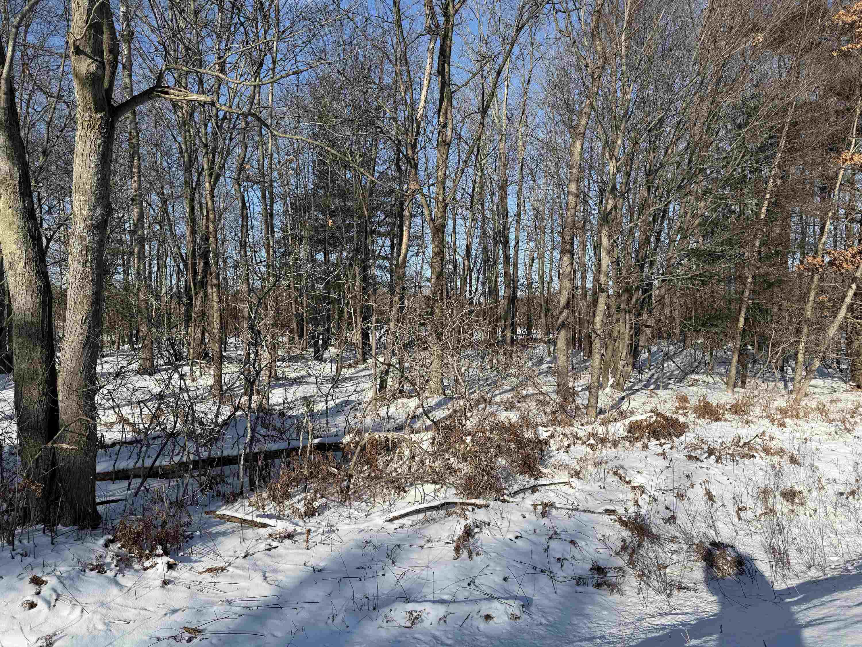 S Sasse Road Property Photo 1