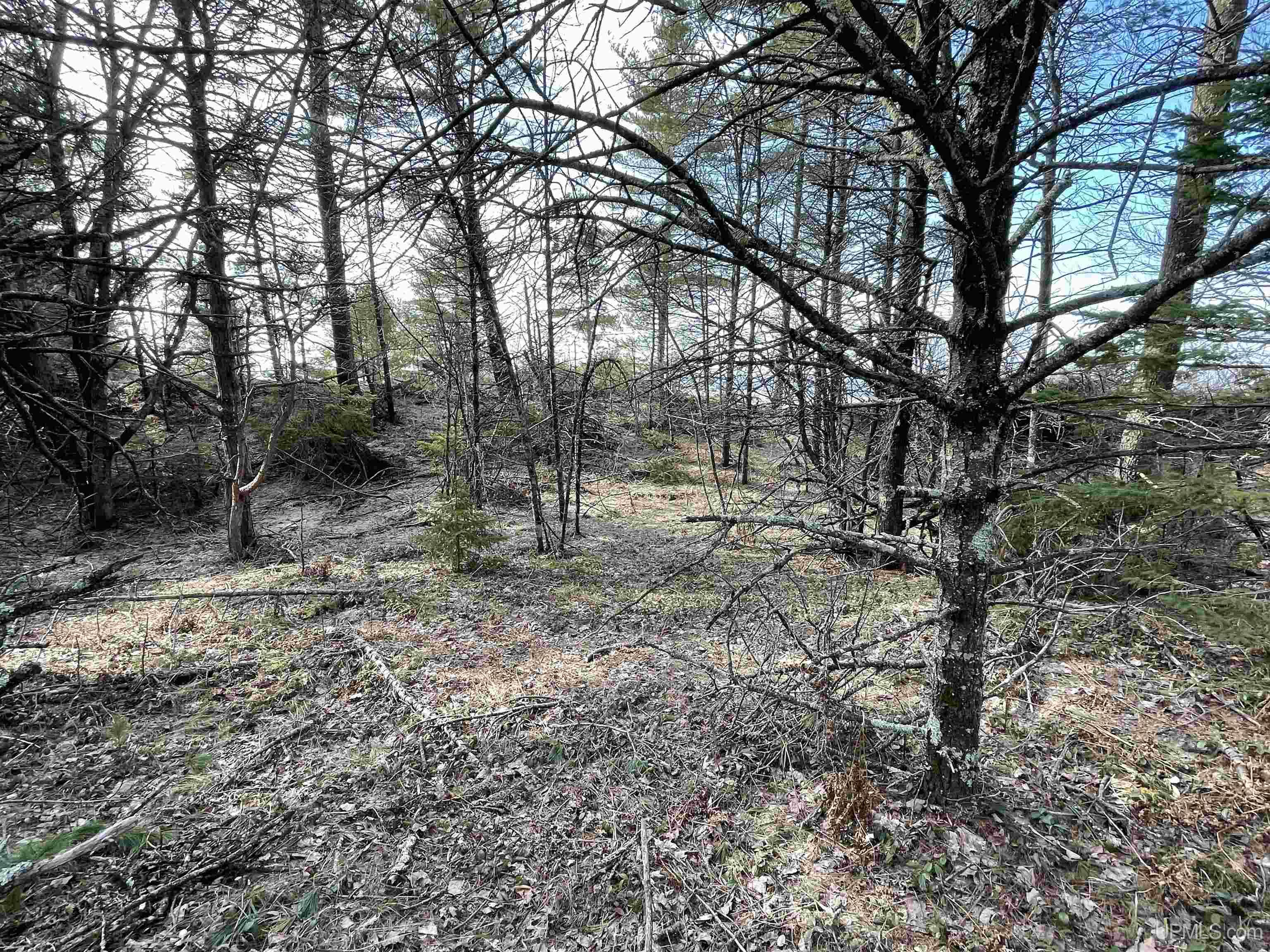 Parcel C 437' On Top O' The Lake Road Property Photo 14