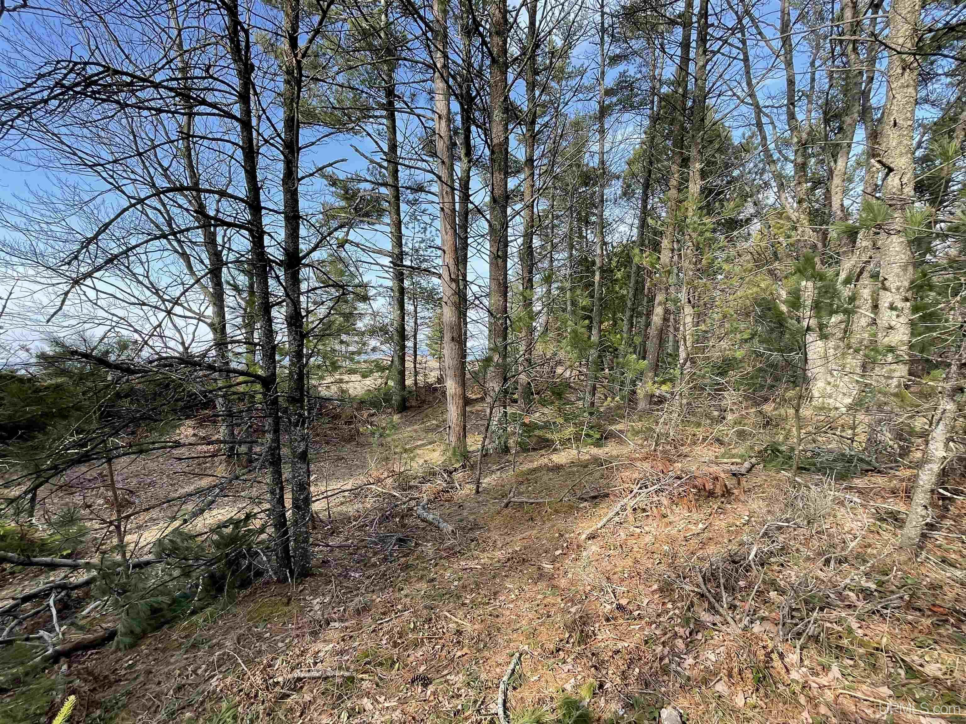Parcel C 437' On Top O' The Lake Road Property Photo 15
