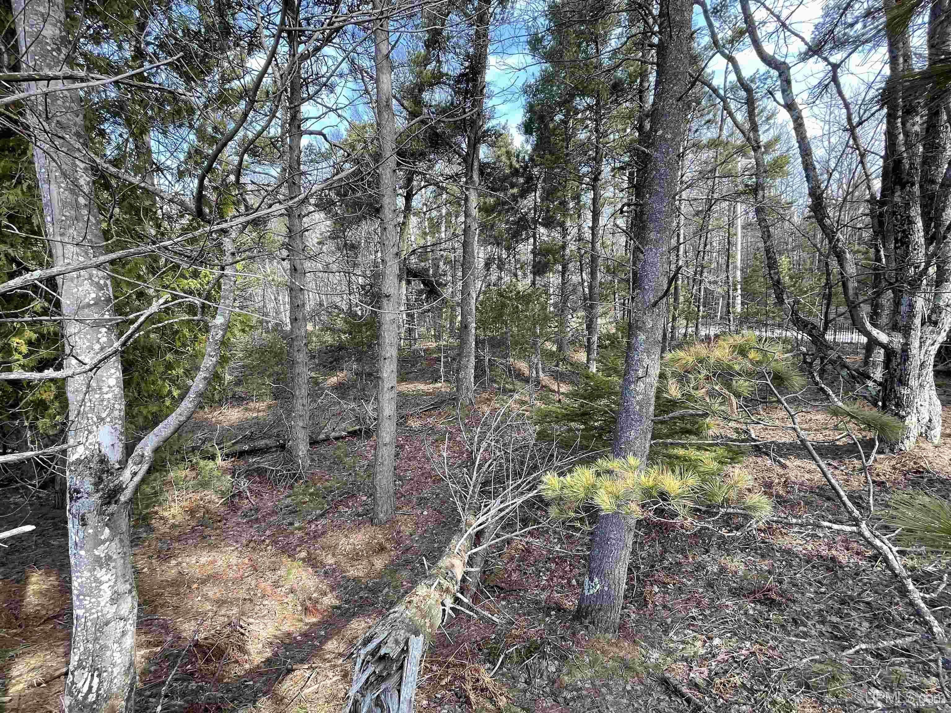 Parcel C 437' On Top O' The Lake Road Property Photo 16