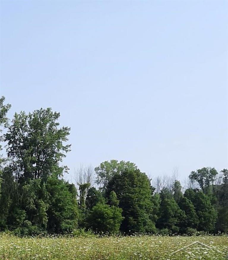 5120 N Five Mile Road Property Photo 1