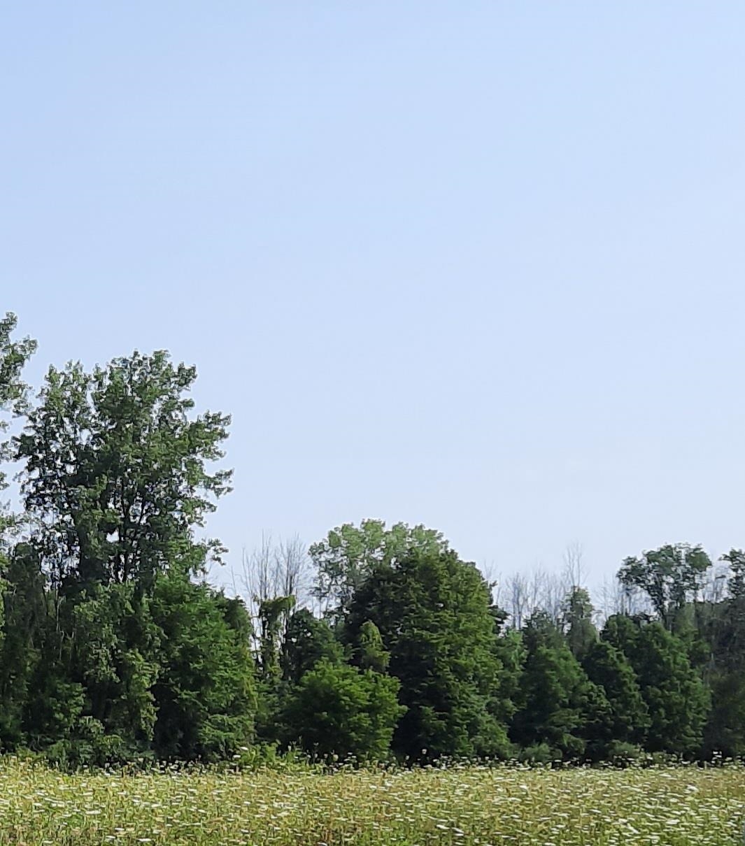 5120 N Five Mile Road Property Photo 1