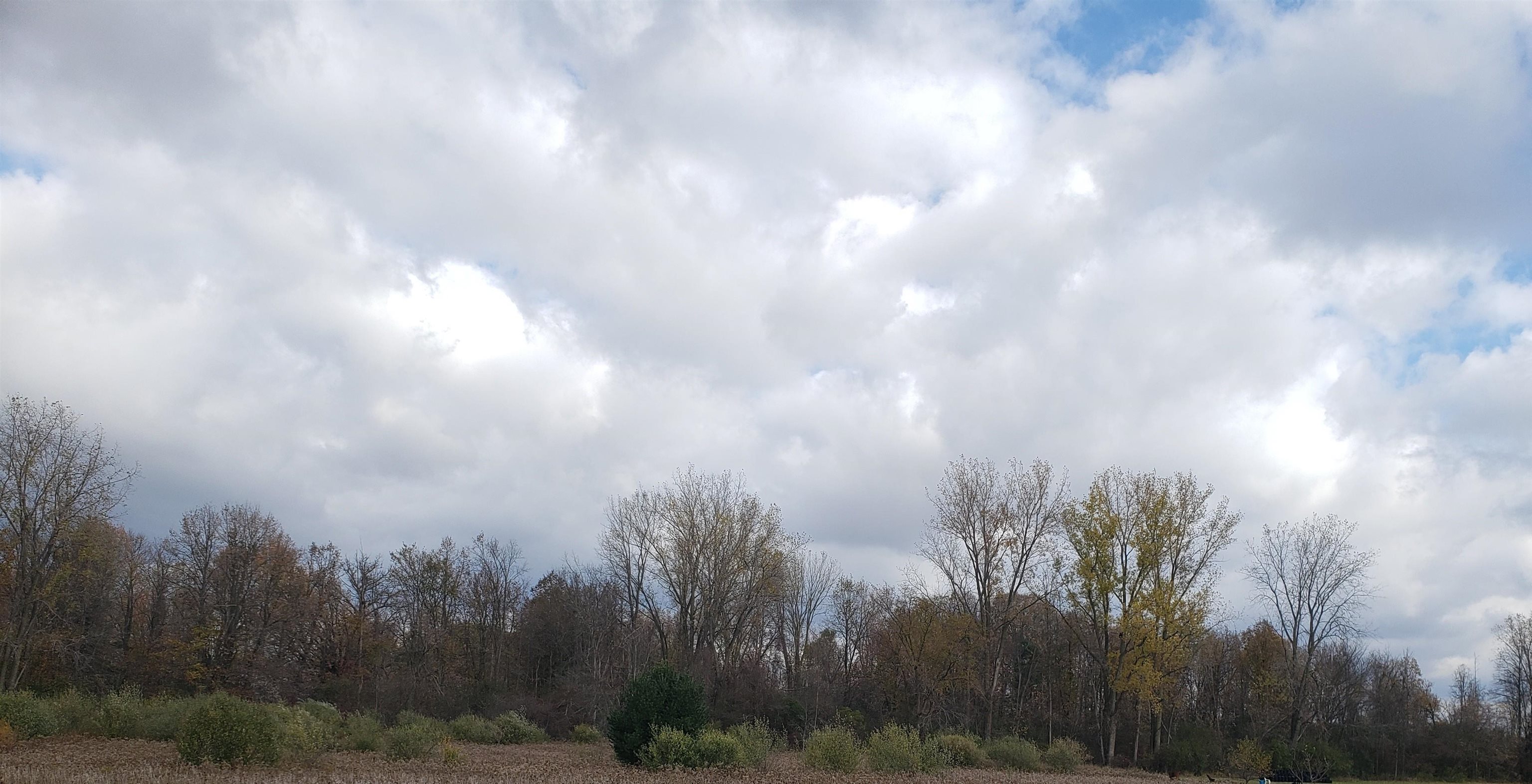 5120 N Five Mile Road Property Photo 9