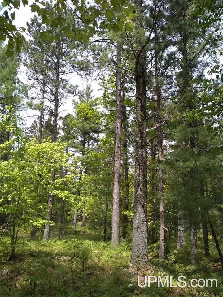00 E County Road H58 Road Property Photo 8