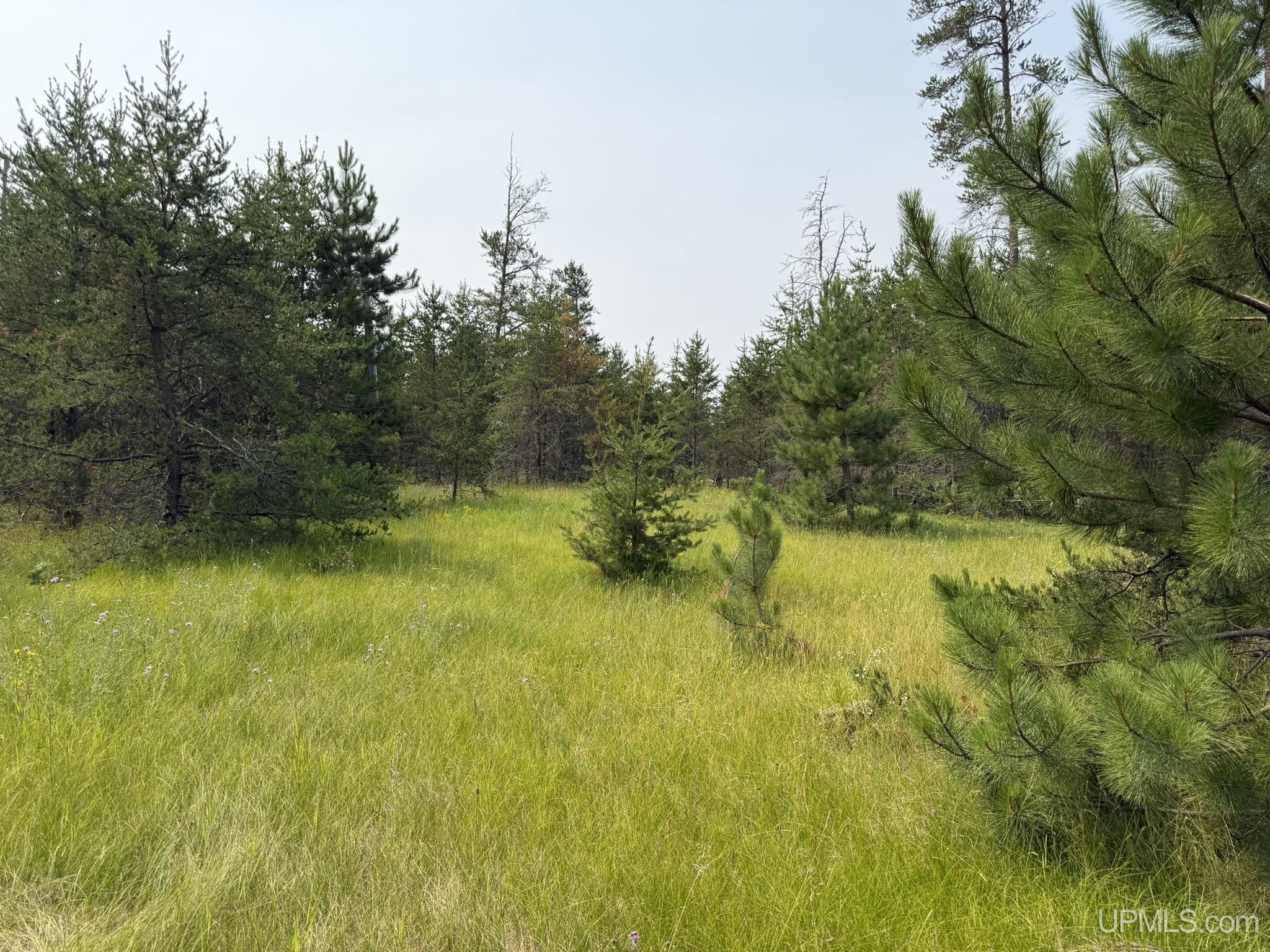 361 E M35 Highway Property Photo 1