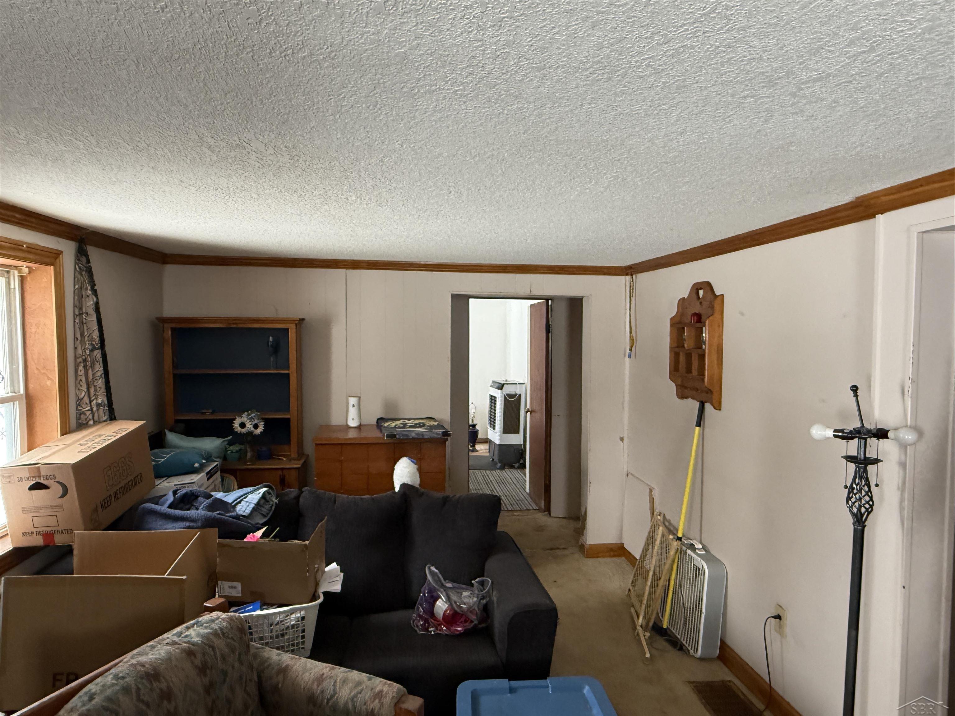 3493 Pine River Road Property Photo 5