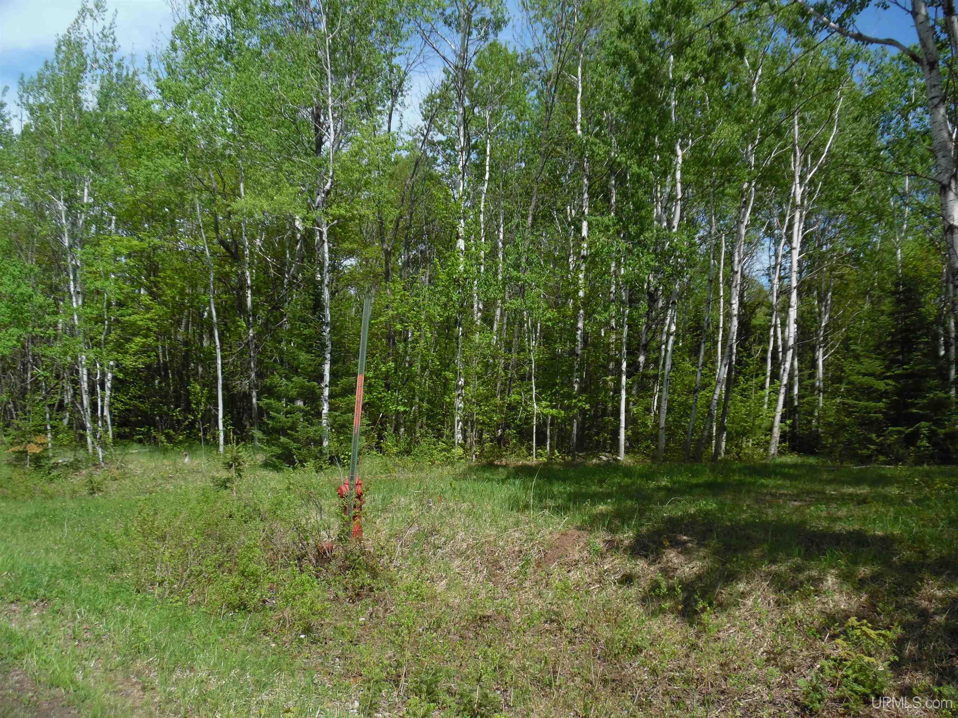 Tbd Michigan Avenue Property Photo 5