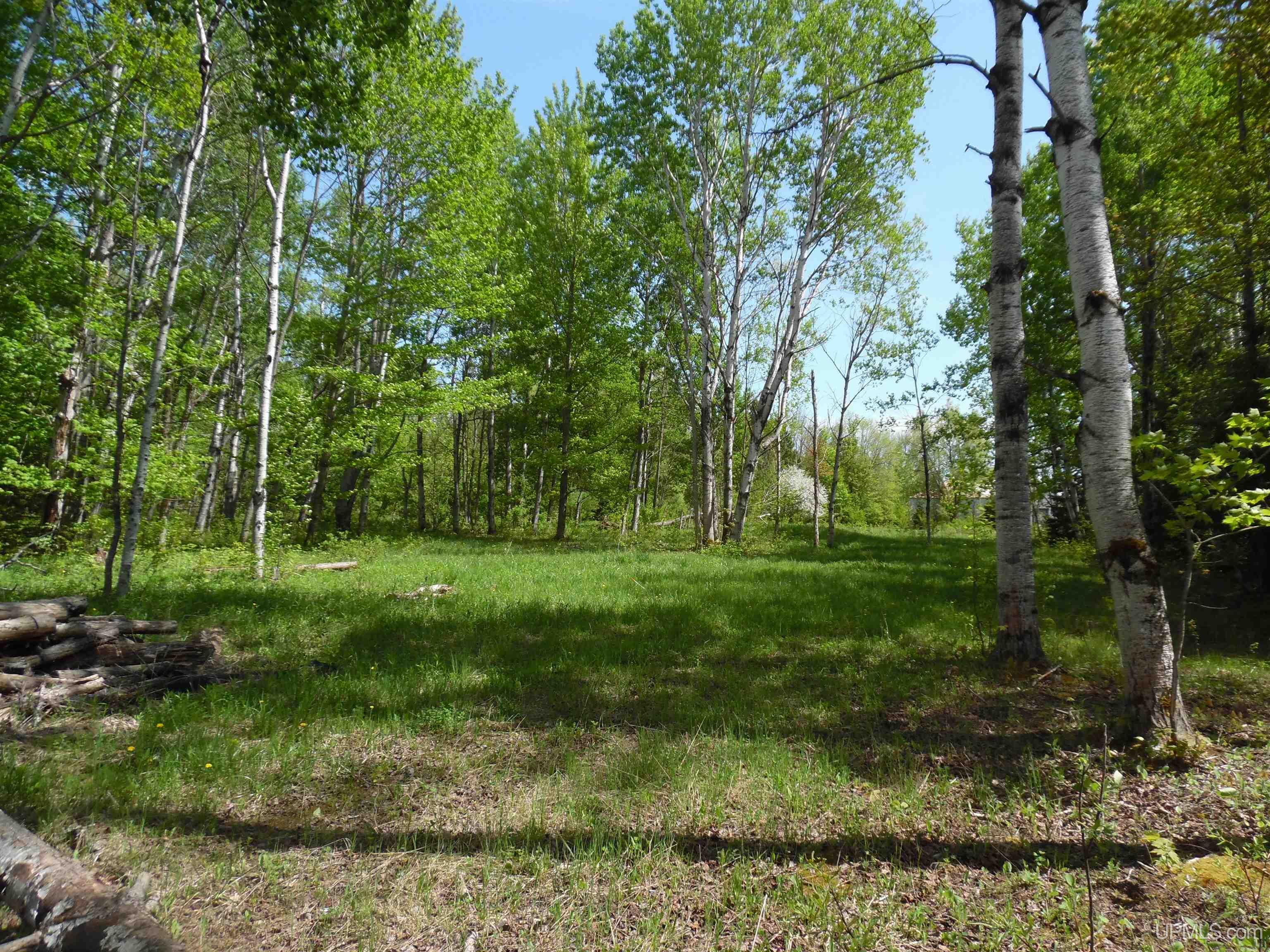 Tbd Michigan Avenue Property Photo 7