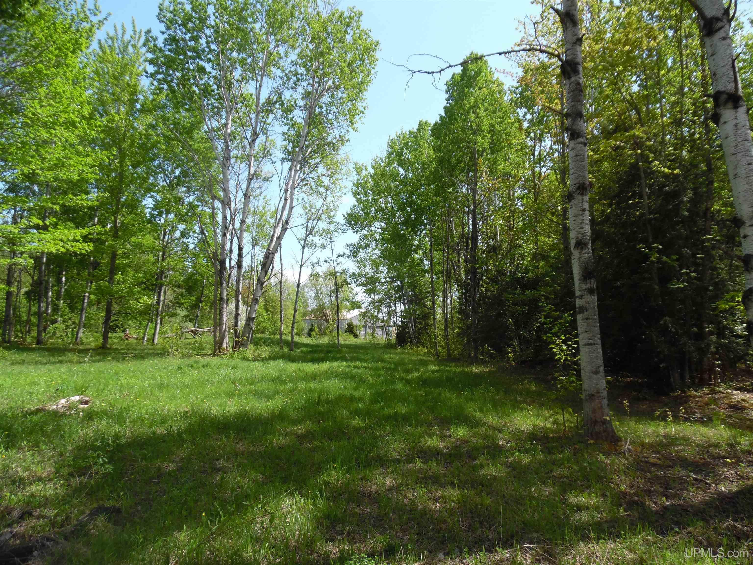 Tbd Michigan Avenue Property Photo 9