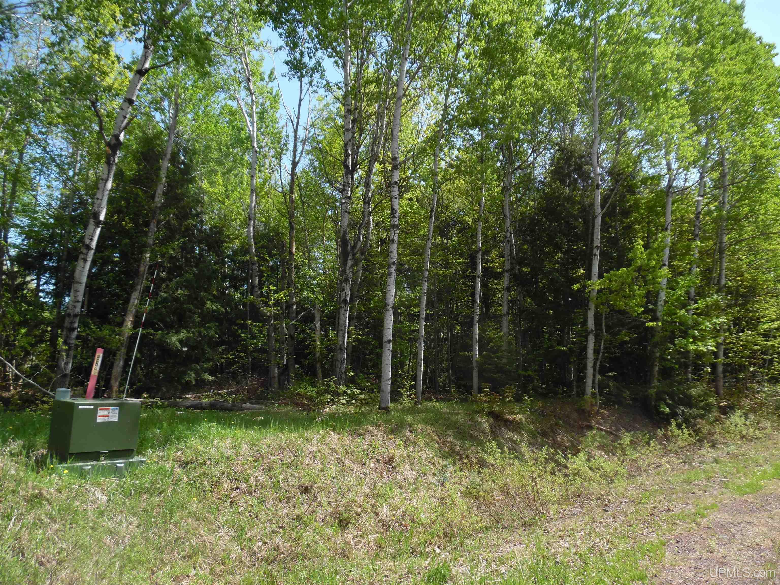 Tbd Michigan Avenue Property Photo 11