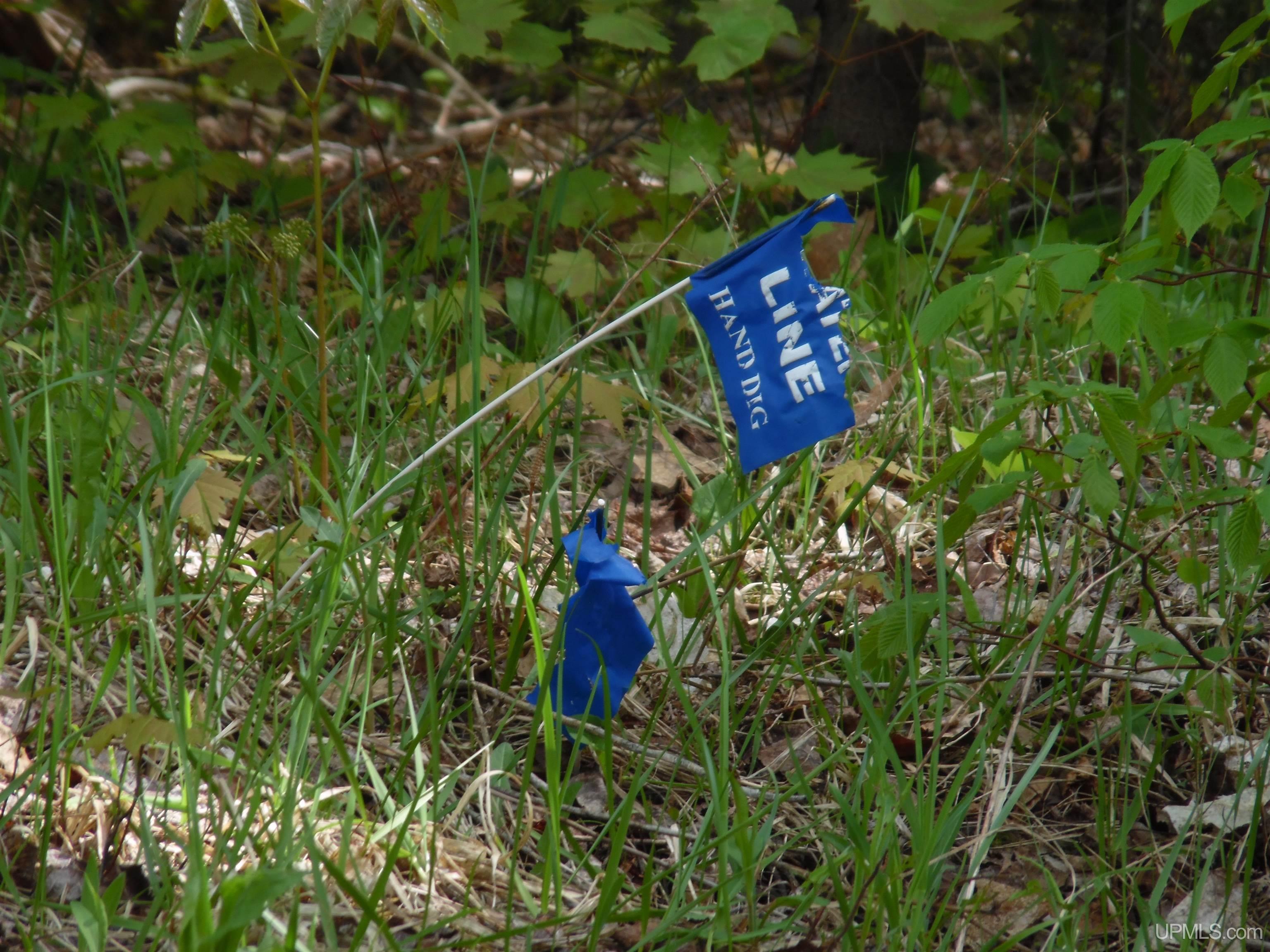 Tbd Michigan Avenue Property Photo 12