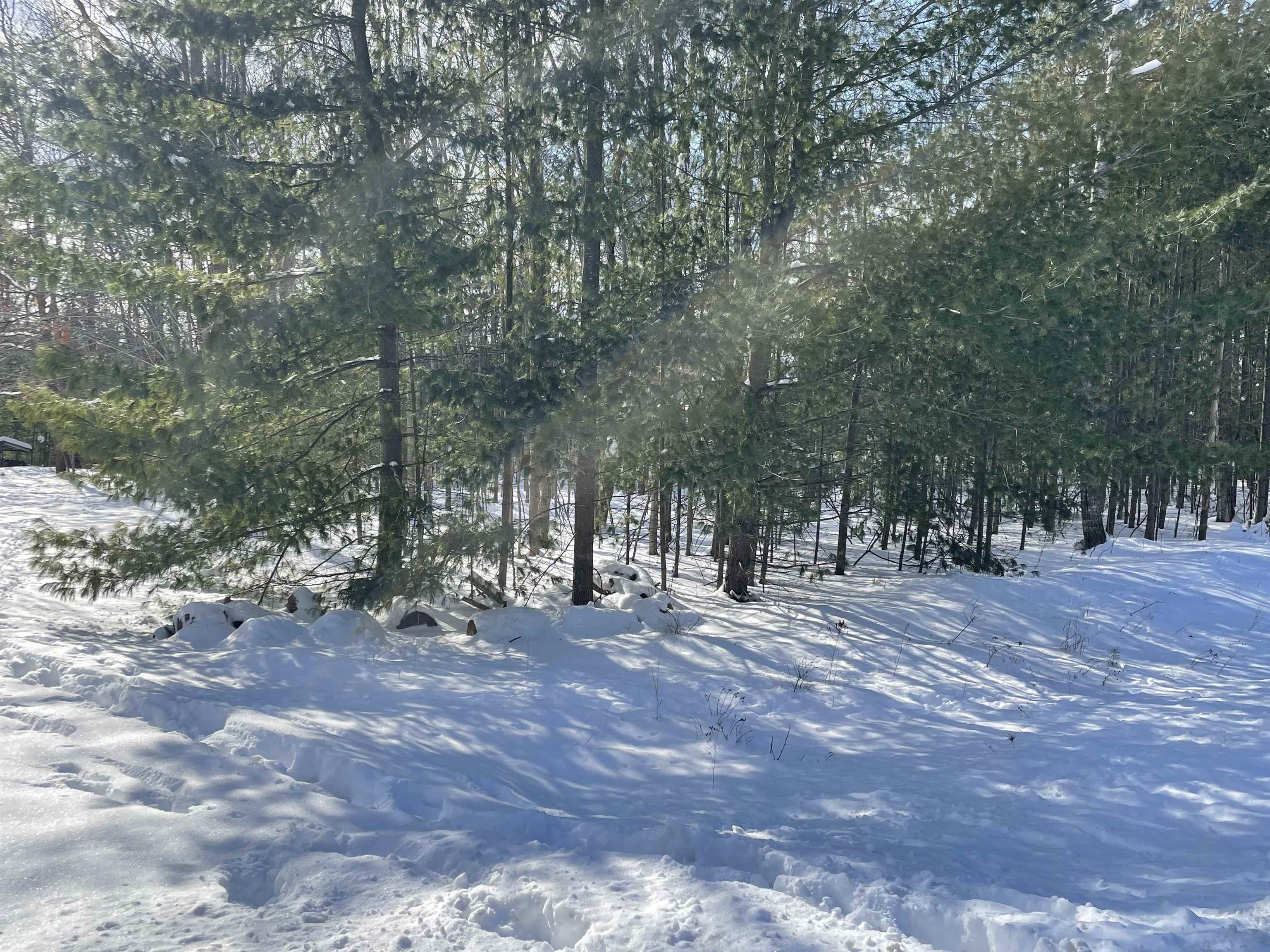 Whitetail Drive Property Photo 1