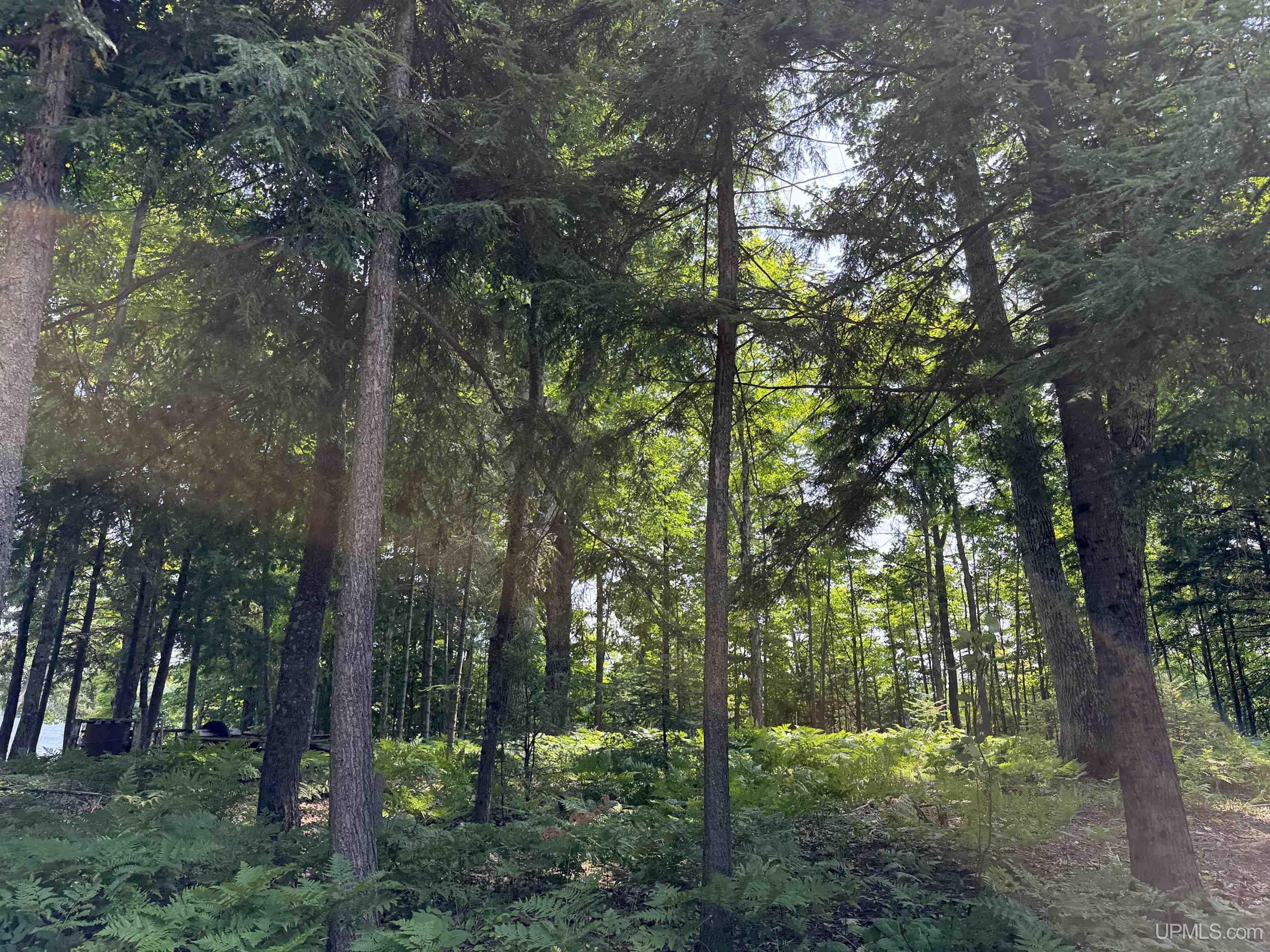 44870 County Hwy D Highway Property Photo 1