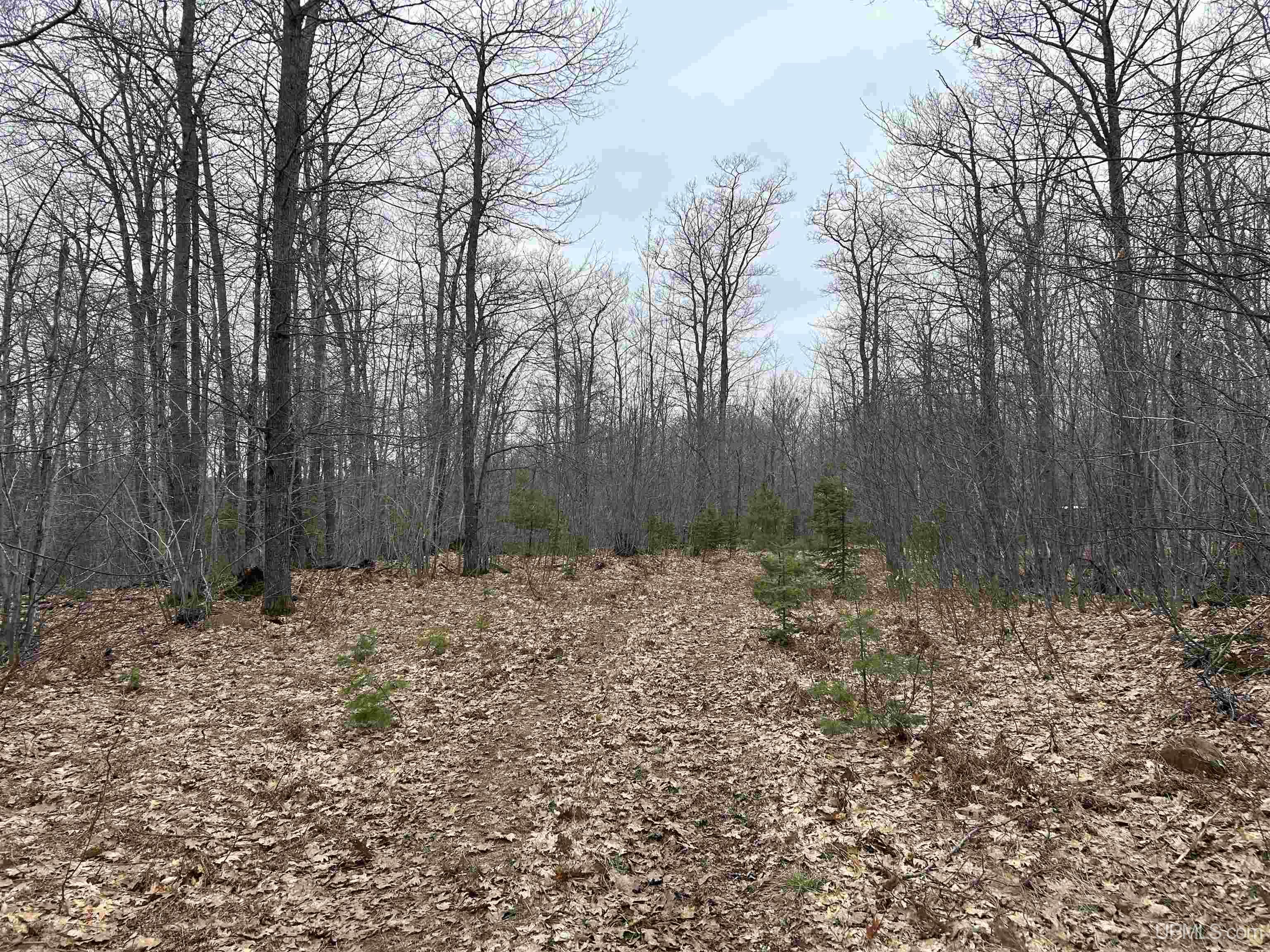 Near Krooks Drive Property Photo 1