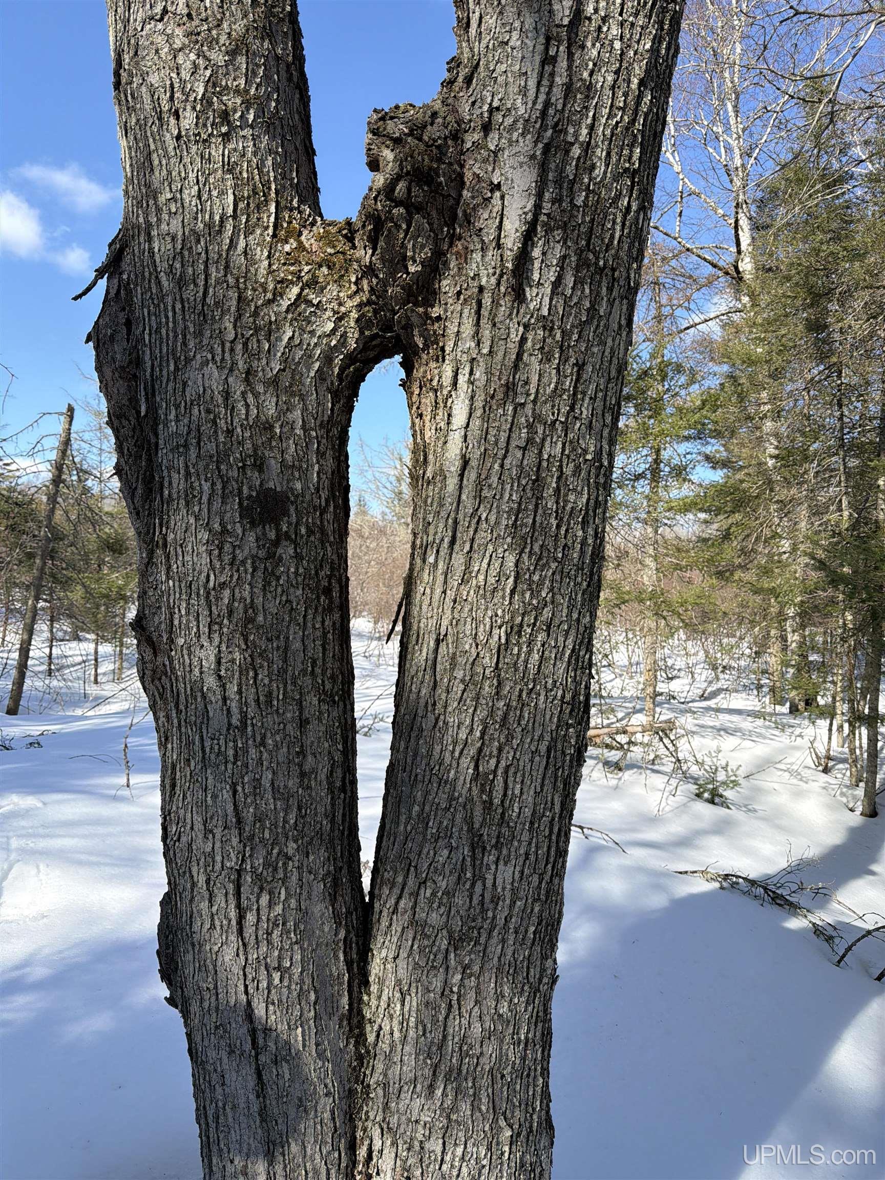 Tbd 18 Road Property Photo 5