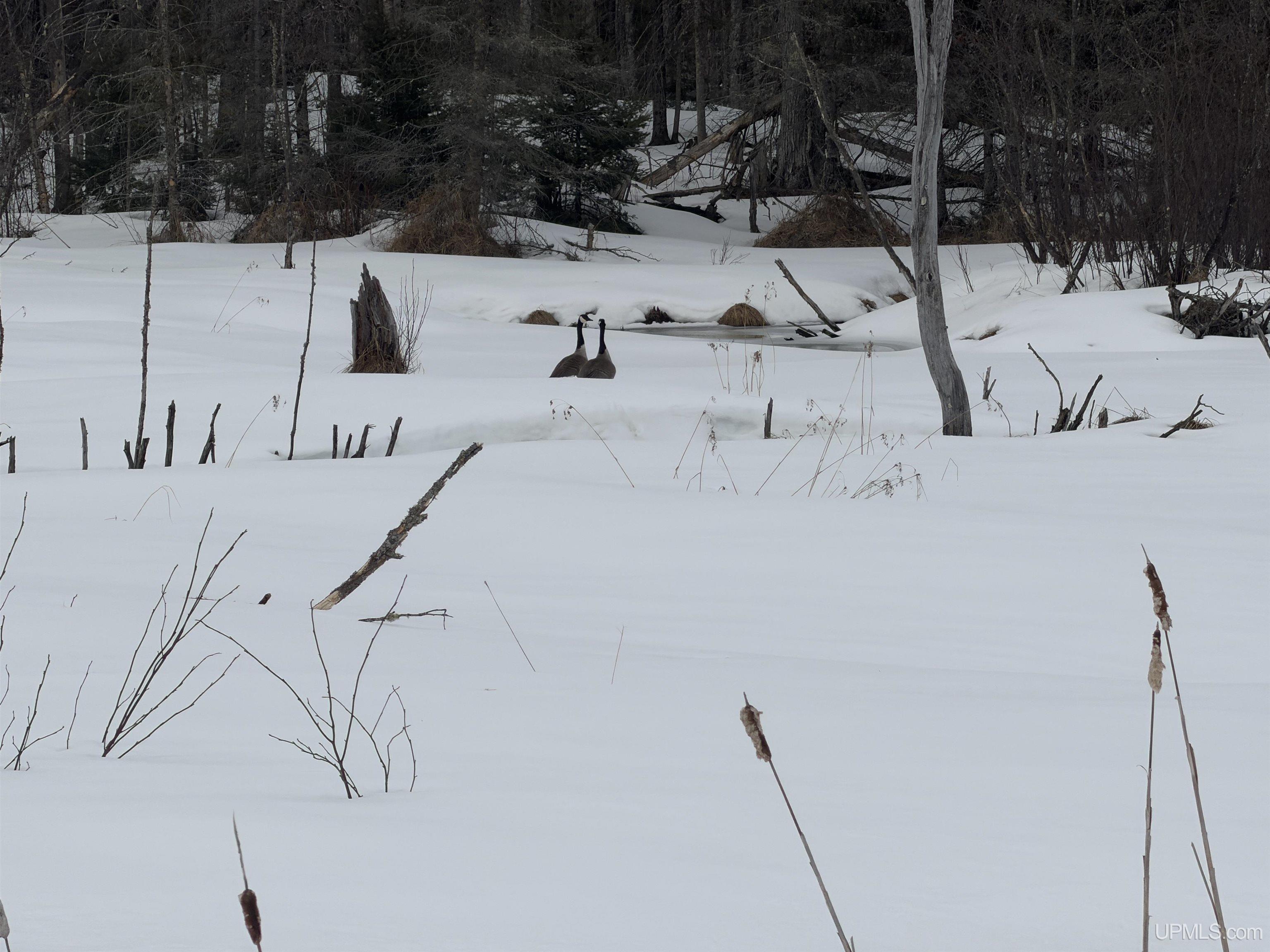 Tbd 18 Road Property Photo 11