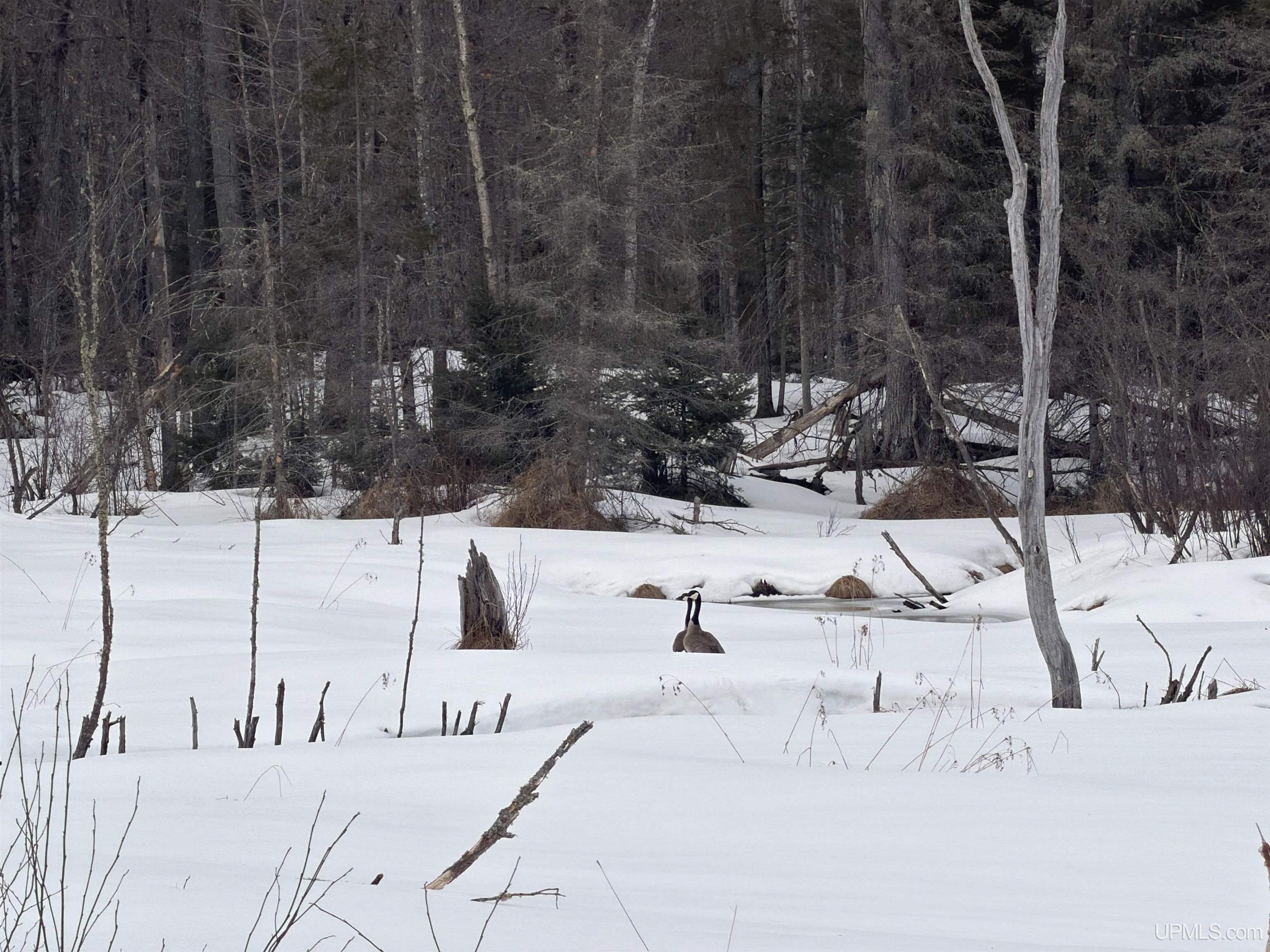 Tbd 18 Road Property Photo 12