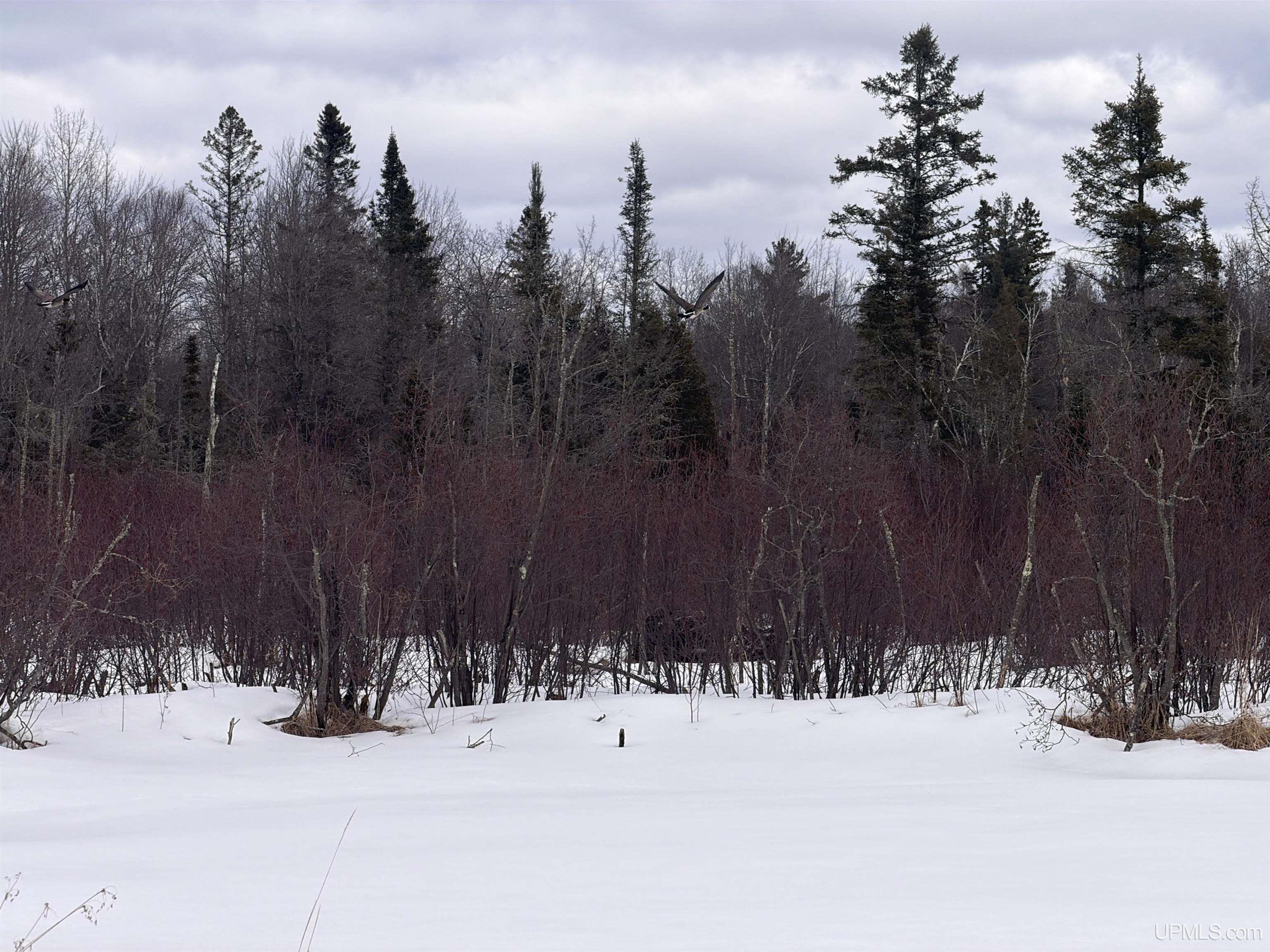 Tbd 18 Road Property Photo 15