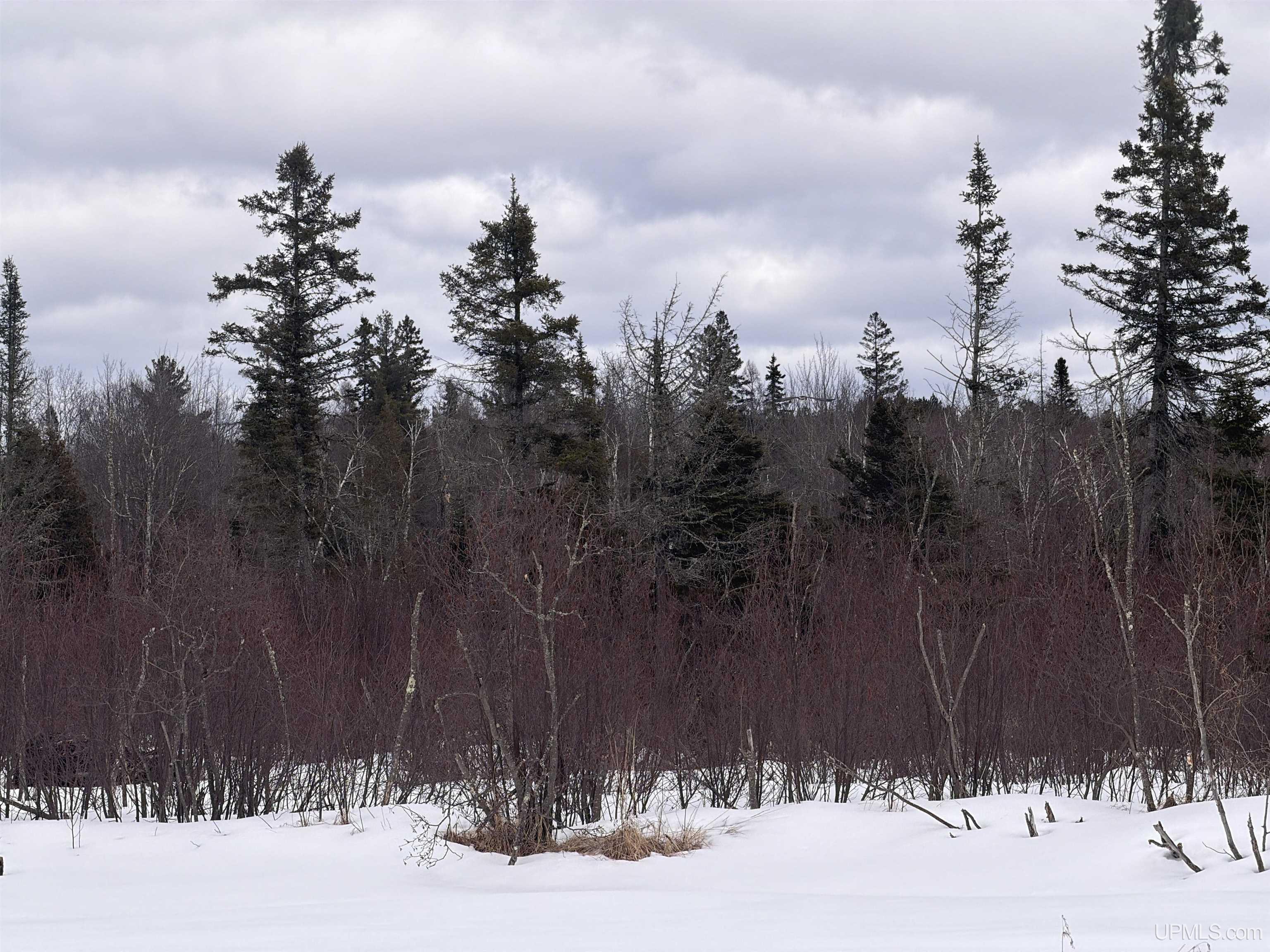 Tbd 18 Road Property Photo 16