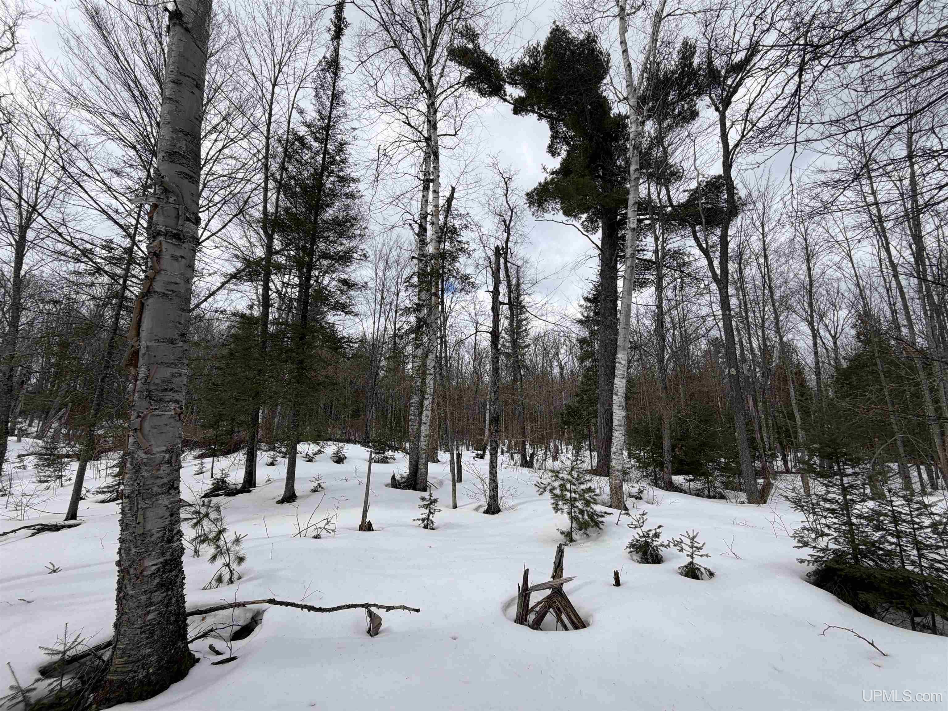 Tbd 18 Road Property Photo 18