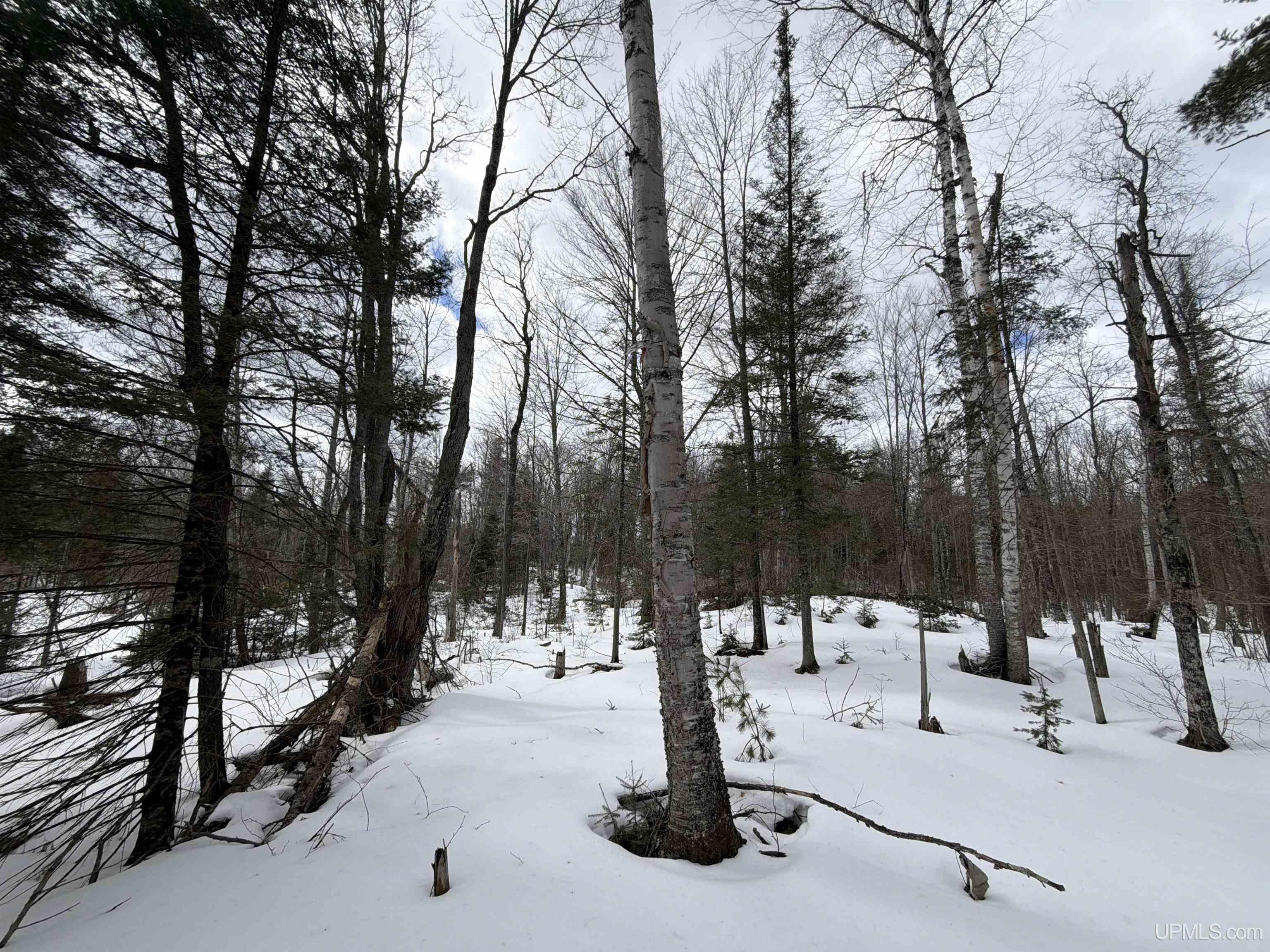 Tbd 18 Road Property Photo 19