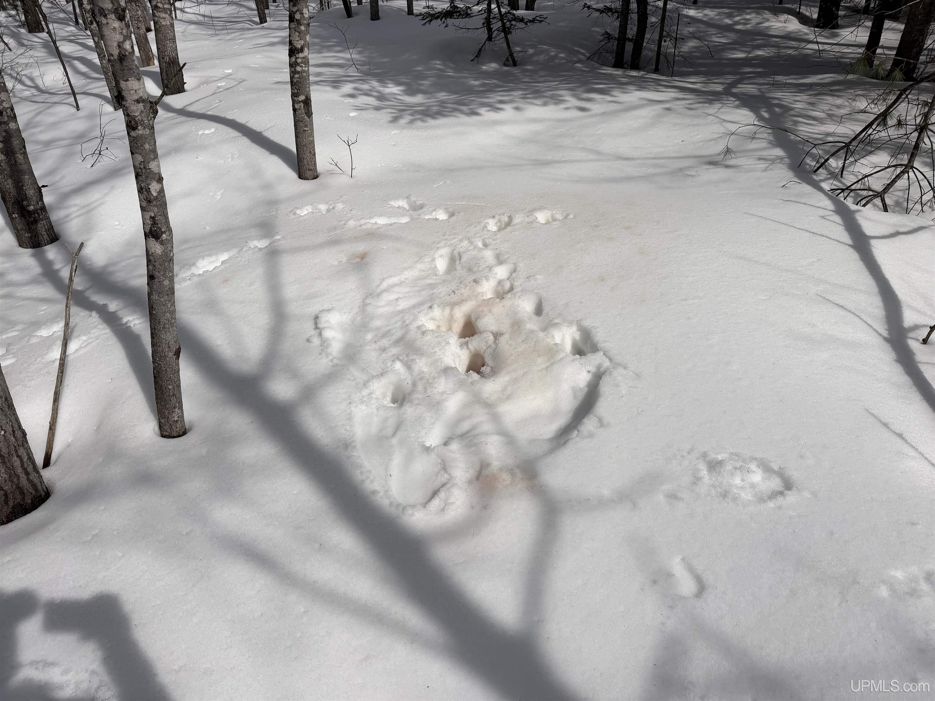 Tbd 18 Road Property Photo 20