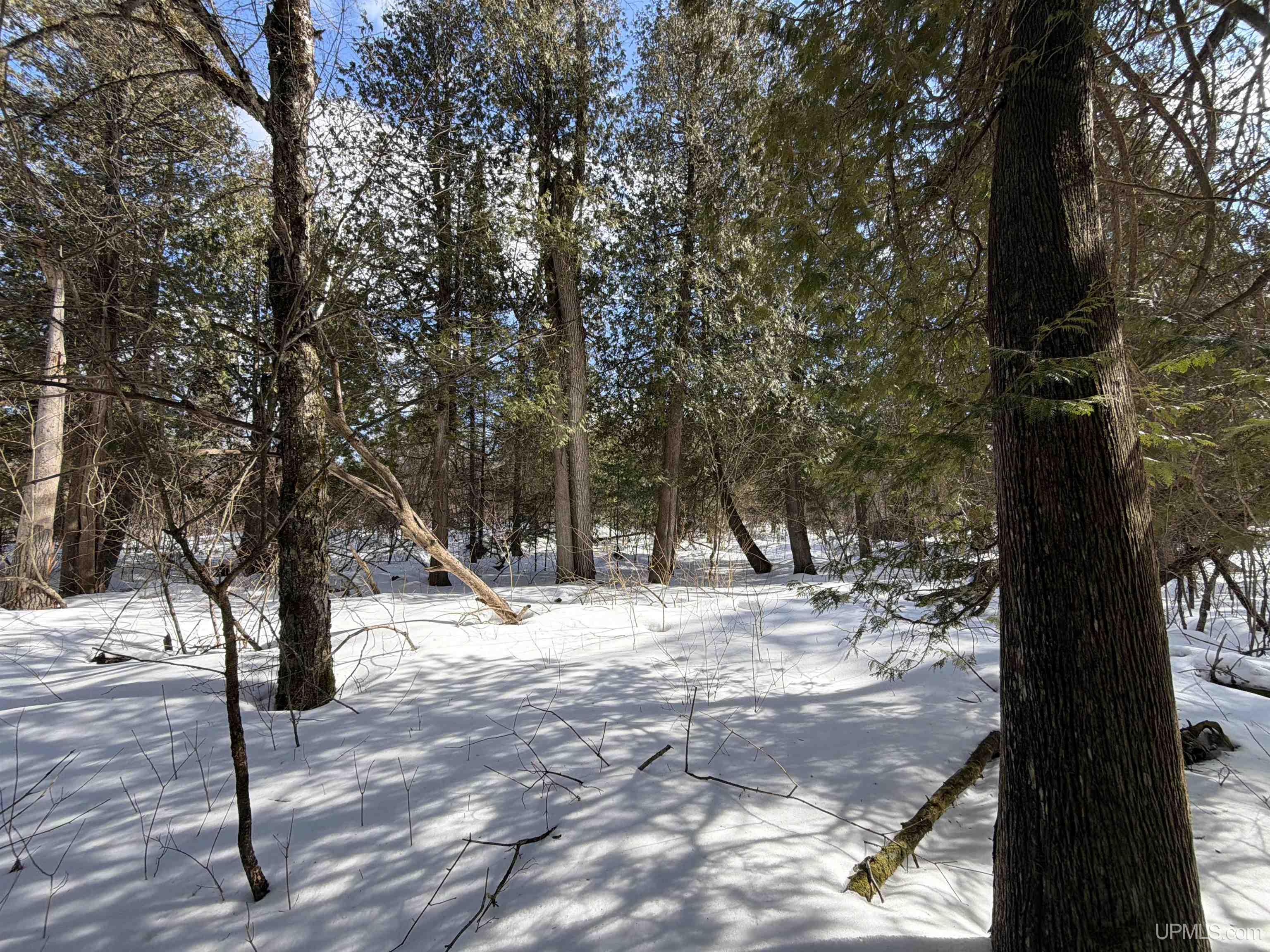 Tbd 18 Road Property Photo 21