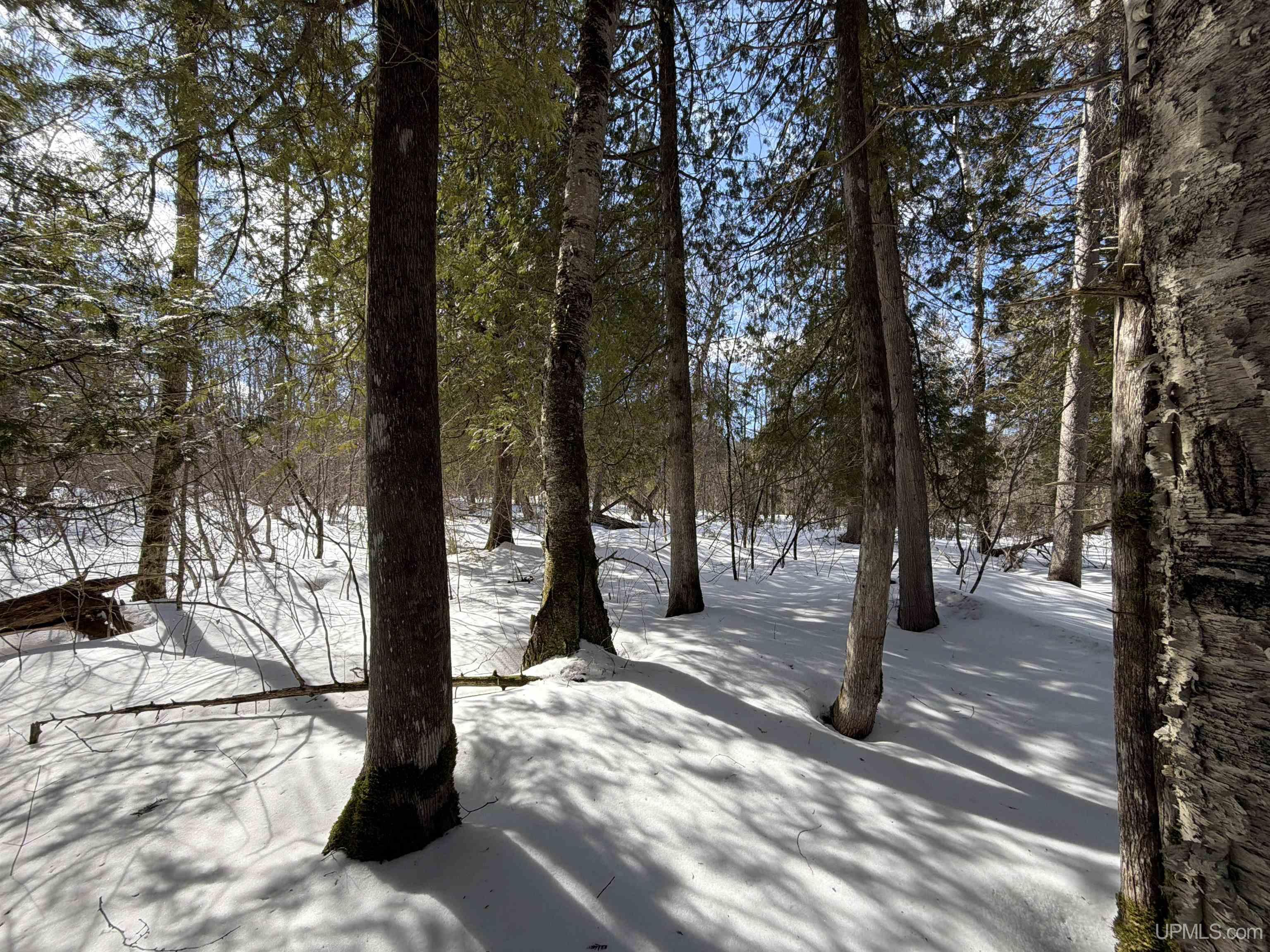 Tbd 18 Road Property Photo 22
