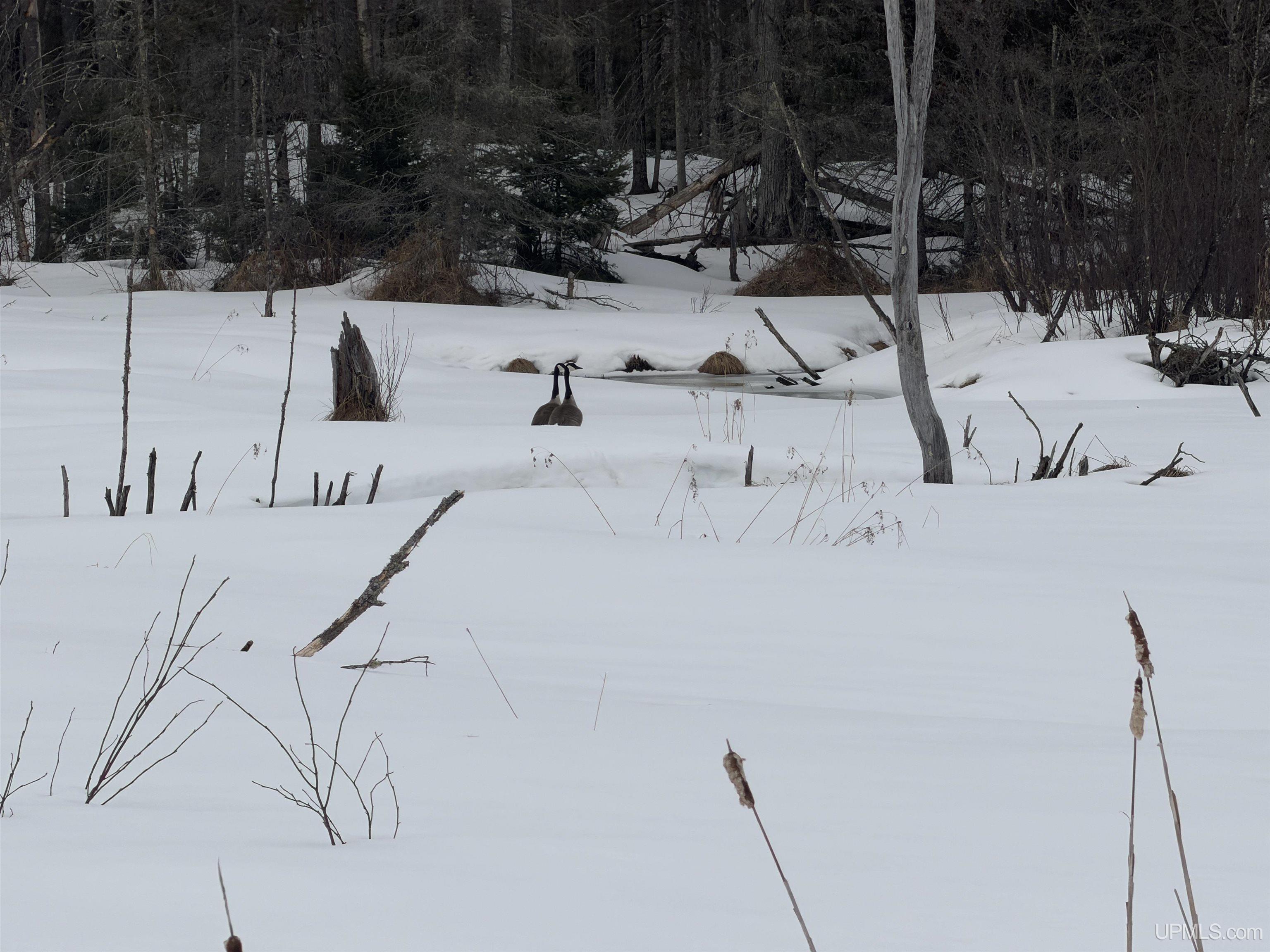 Tbd 18 Road Property Photo 23