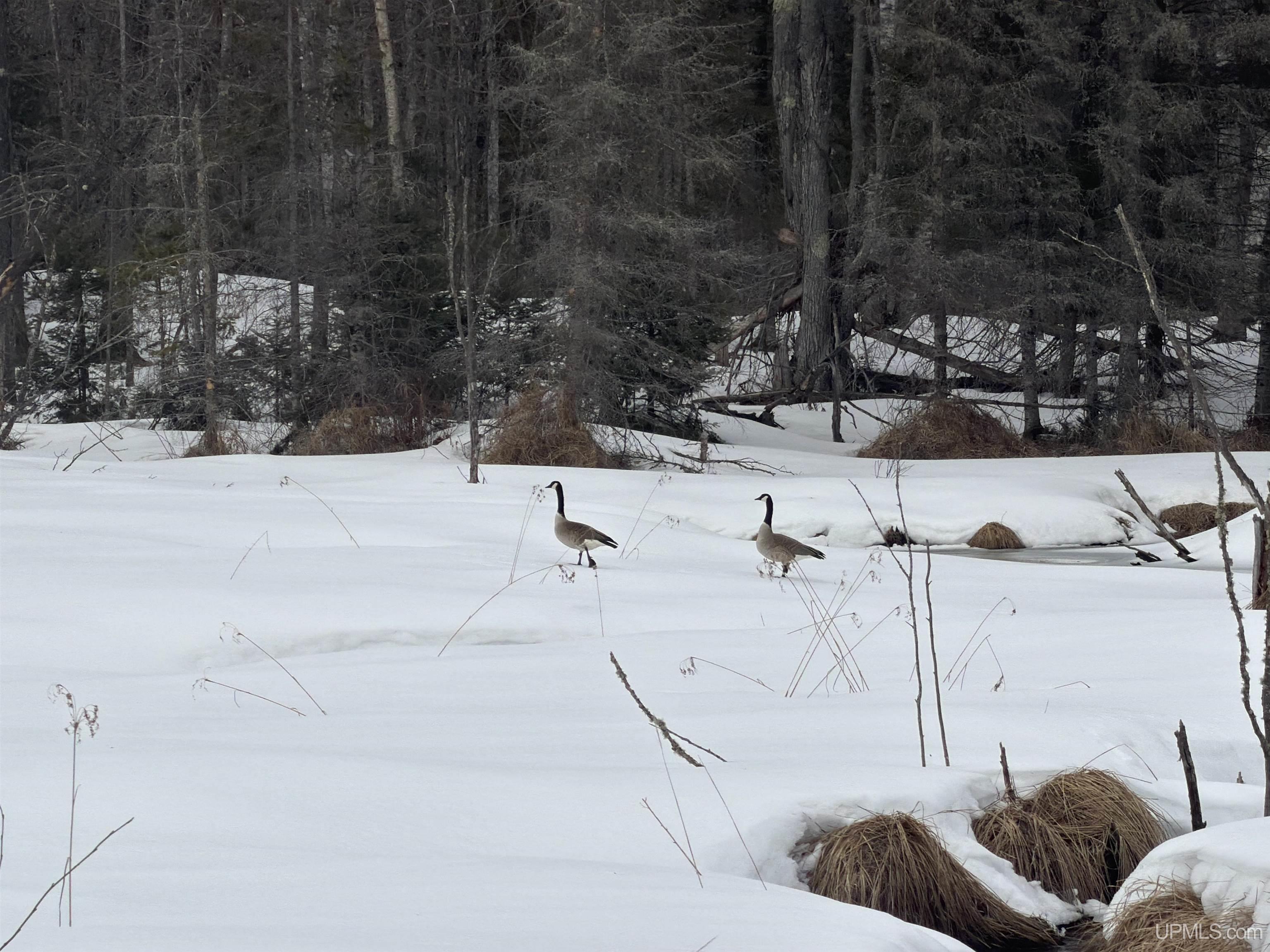 Tbd 18 Road Property Photo 25