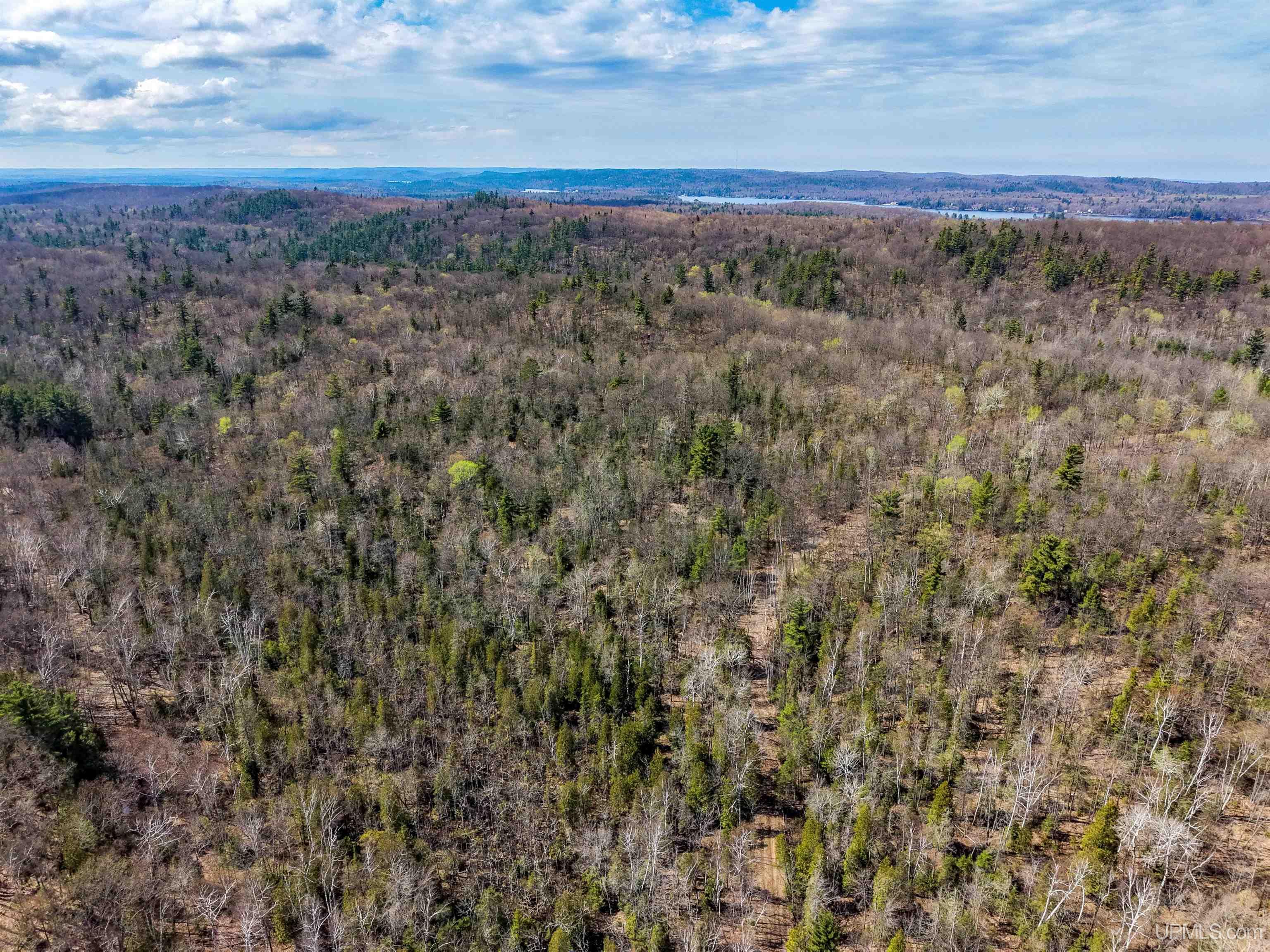 Tbd E Wilderness Road Property Photo 1