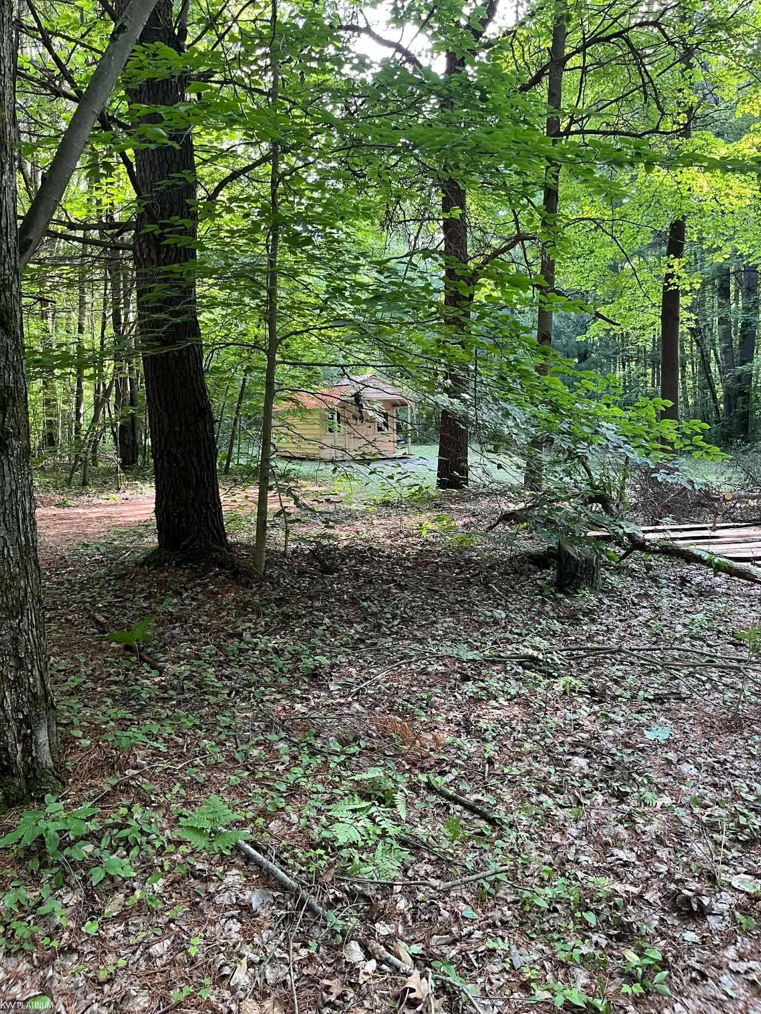 4123 Waterman Road Property Photo 4