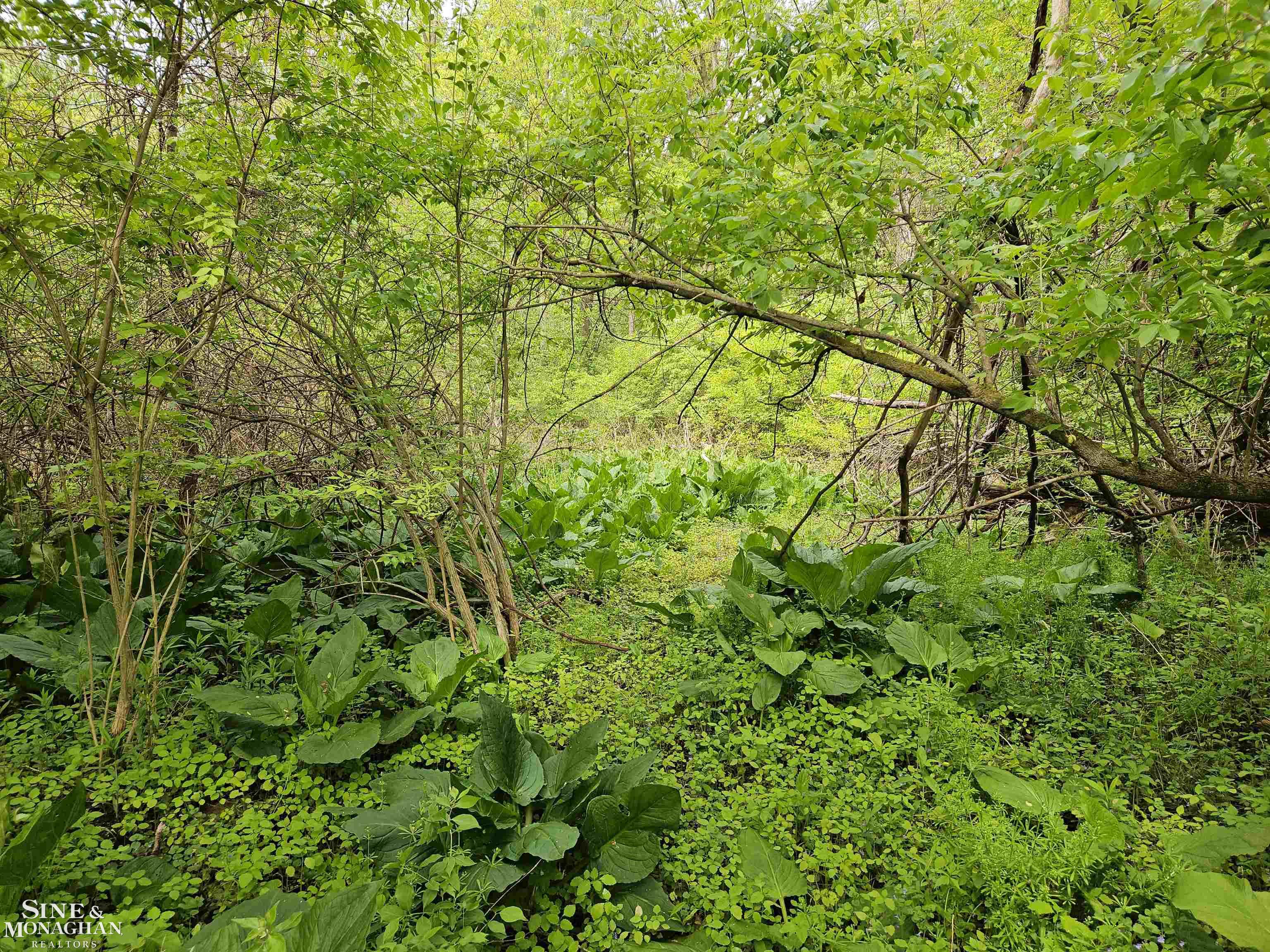 73763 Coon Creek Road Property Photo 3